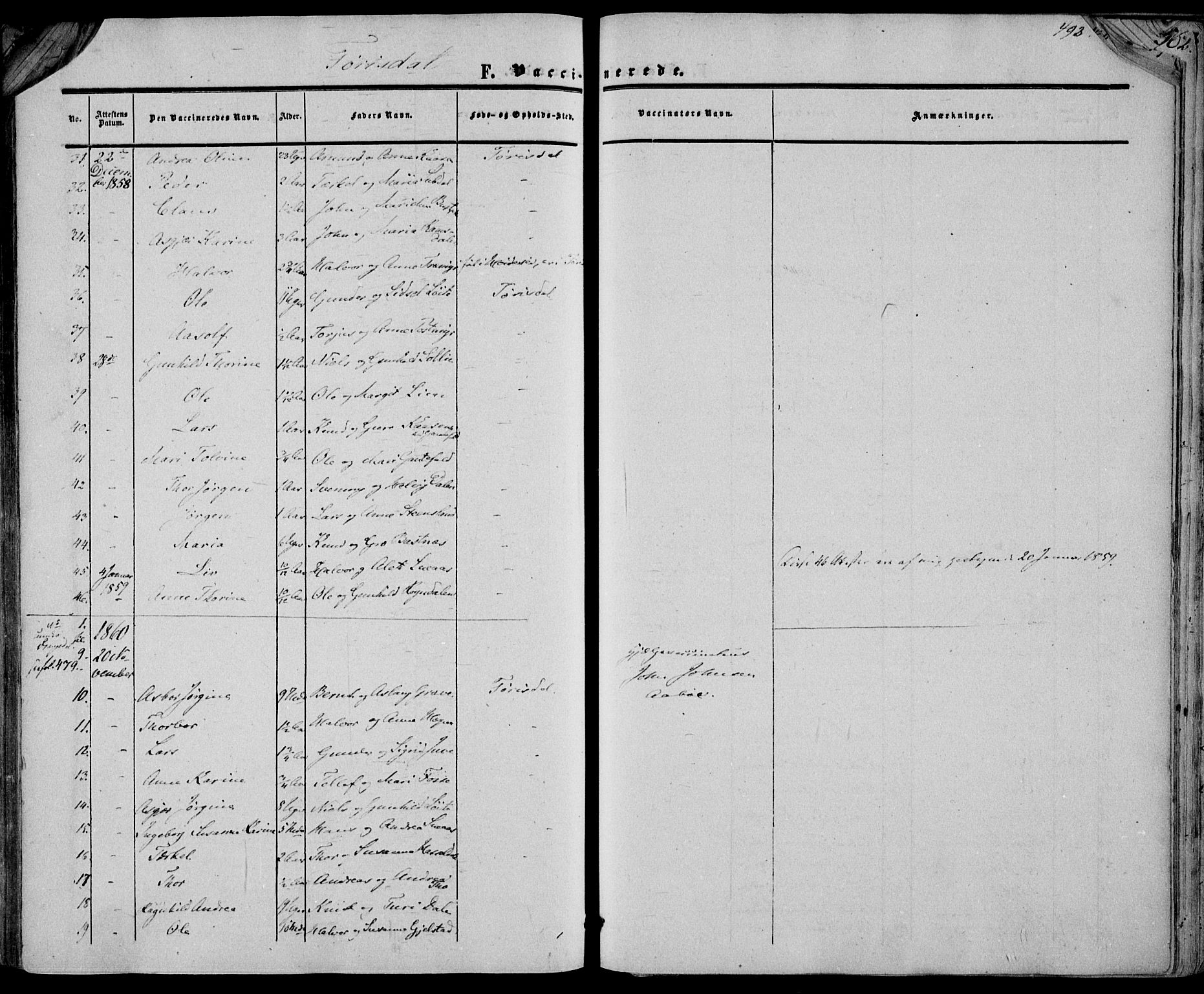 Drangedal kirkebøker, SAKO/A-258/F/Fa/L0008: Parish register (official) no. 8, 1857-1871, p. 493