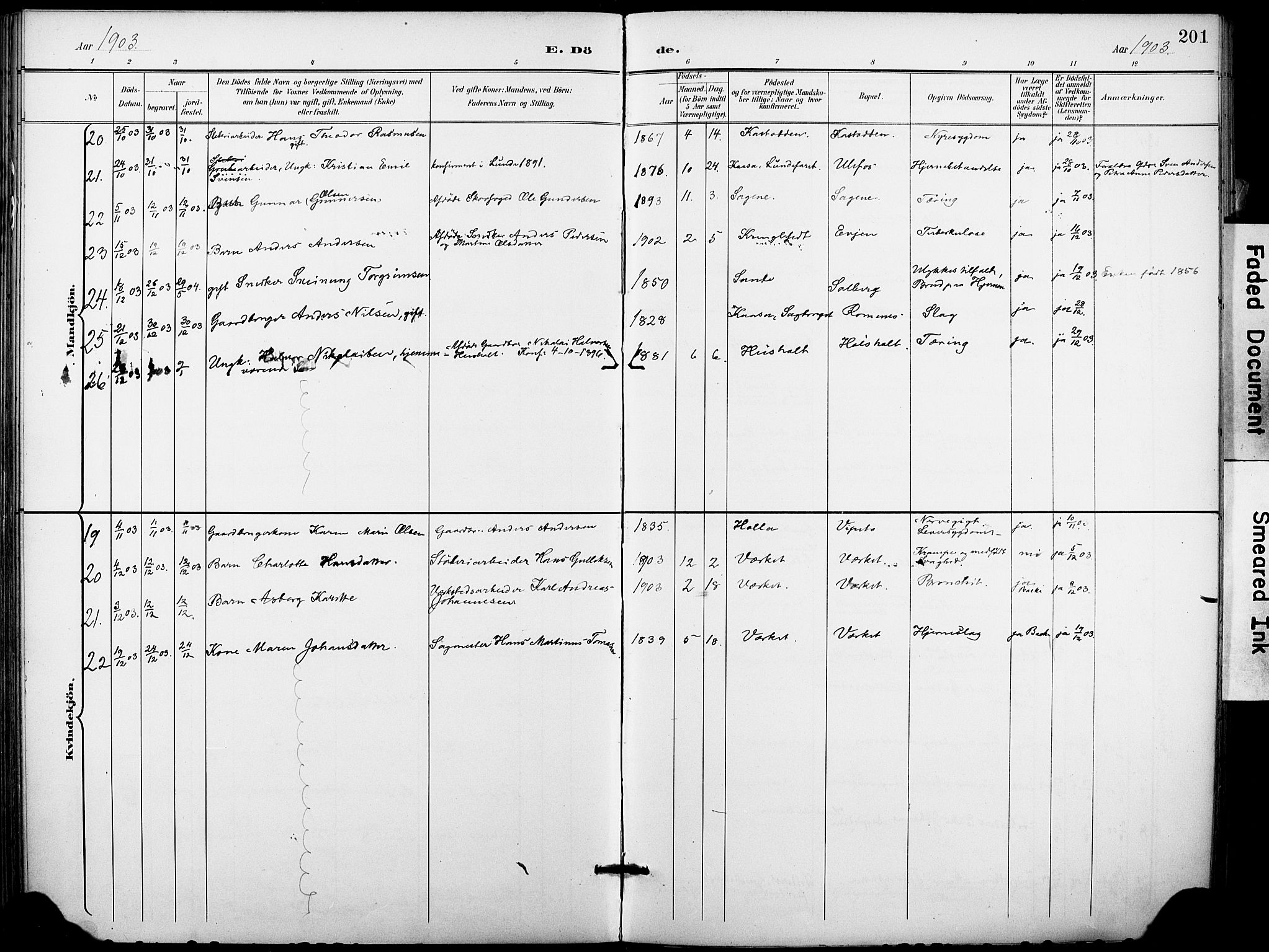 Holla kirkebøker, SAKO/A-272/F/Fa/L0010: Parish register (official) no. 10, 1897-1907, p. 201