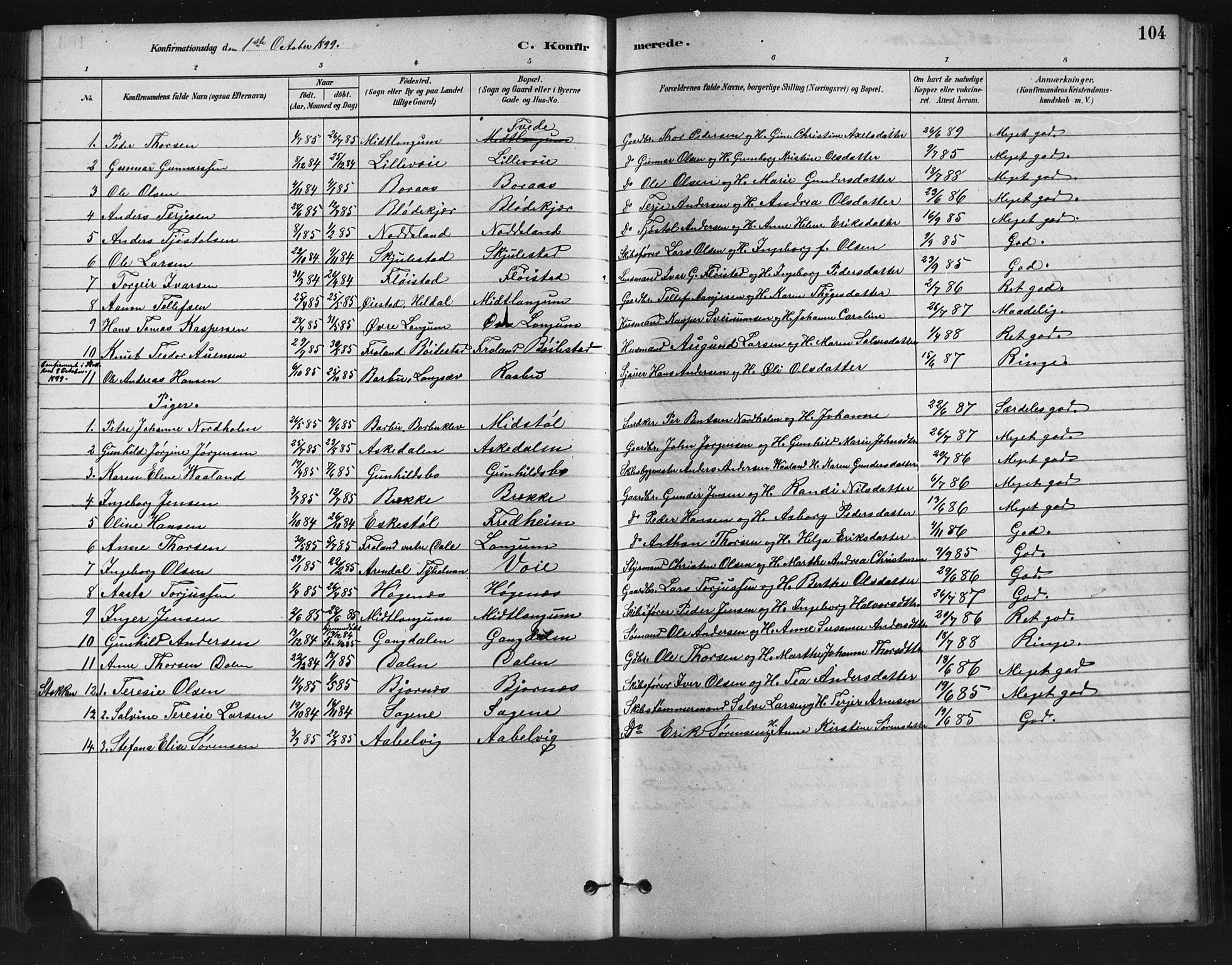 Austre Moland sokneprestkontor, SAK/1111-0001/F/Fb/Fba/L0003: Parish register (copy) no. B 3, 1879-1914, p. 104