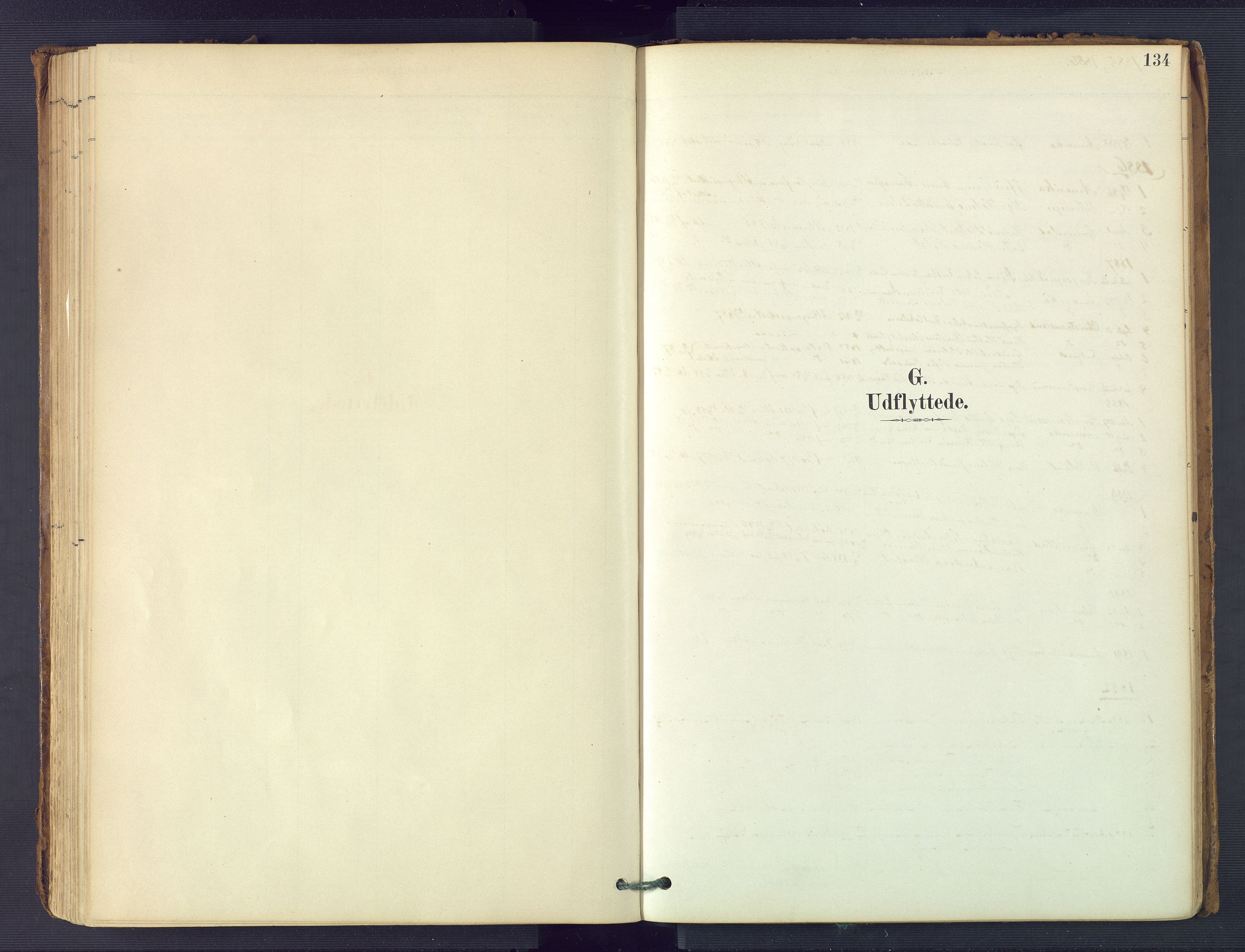 Hommedal sokneprestkontor, AV/SAK-1111-0023/F/Fa/Faa/L0003: Parish register (official) no. A 3, 1885-1916, p. 134