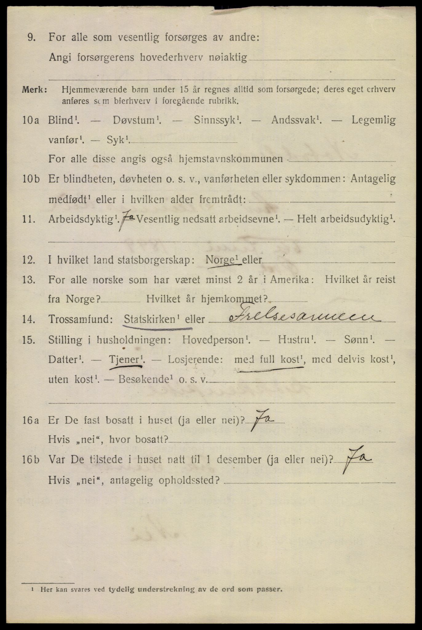 SAKO, 1920 census for Notodden, 1920, p. 8317