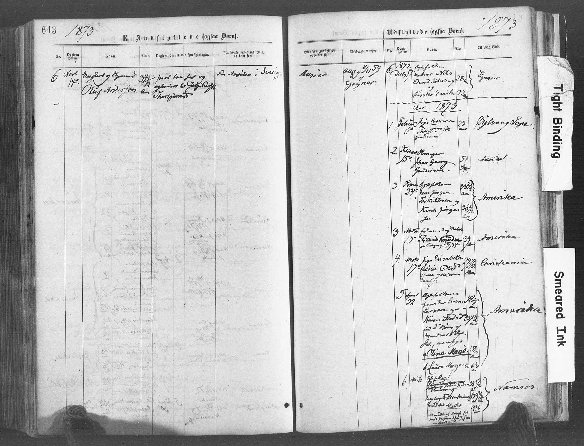 Risør sokneprestkontor, SAK/1111-0035/F/Fa/L0004: Parish register (official) no. A 4, 1865-1882, p. 643