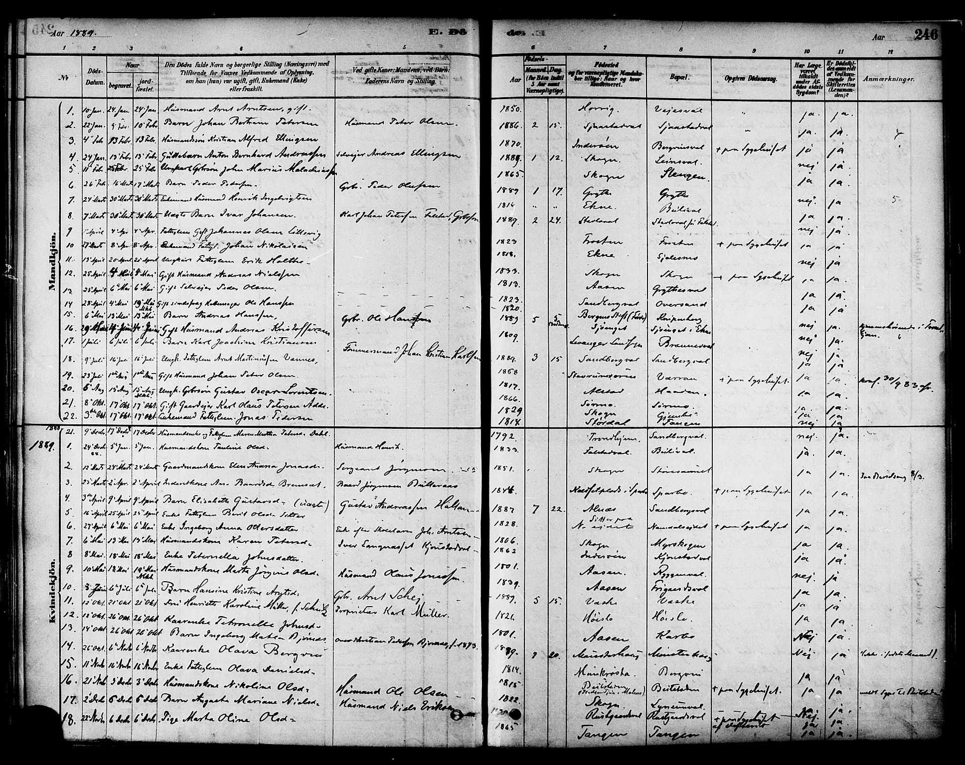 Ministerialprotokoller, klokkerbøker og fødselsregistre - Nord-Trøndelag, AV/SAT-A-1458/717/L0159: Parish register (official) no. 717A09, 1878-1898, p. 246