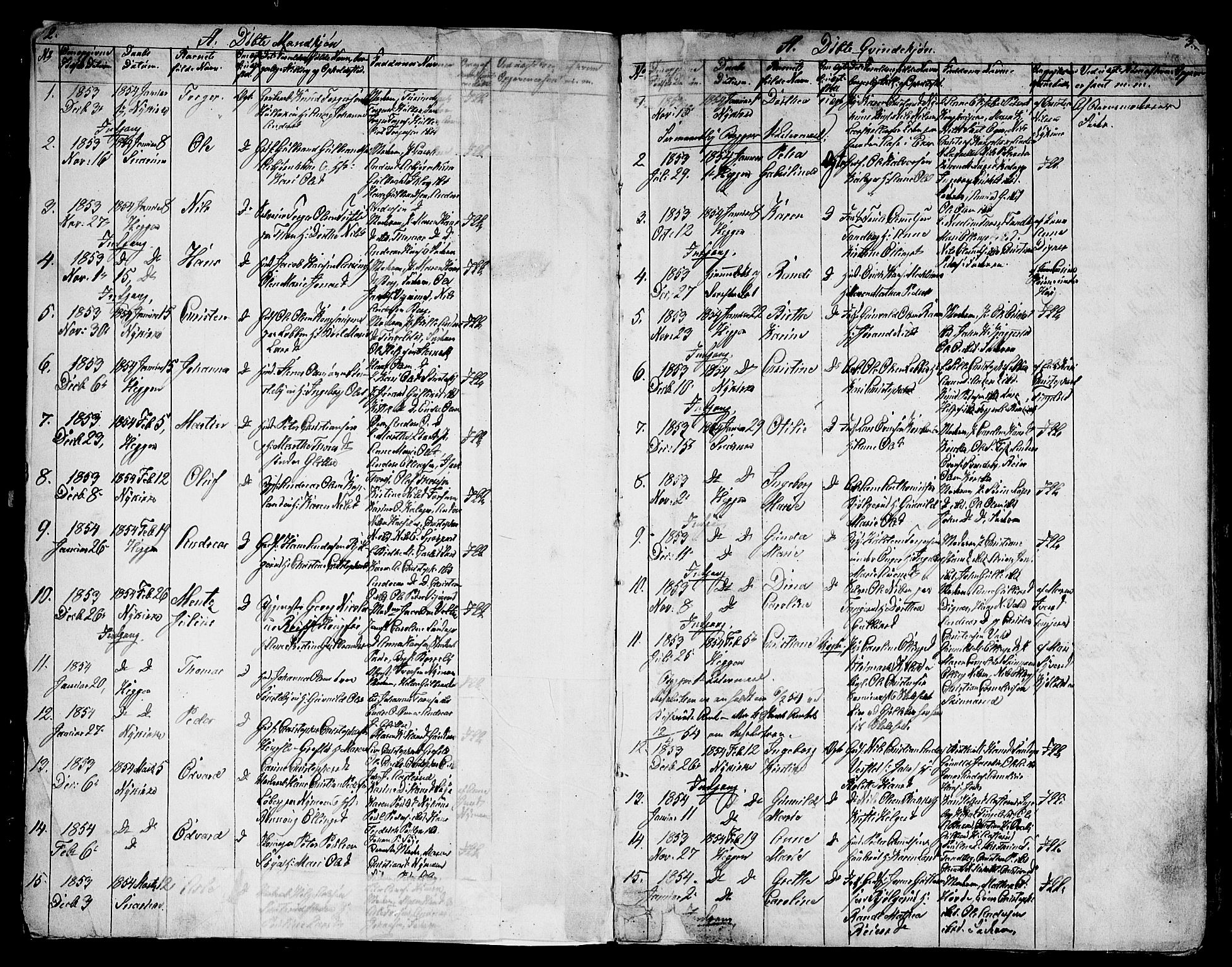 Modum kirkebøker, AV/SAKO-A-234/G/Ga/L0006: Parish register (copy) no. I 6, 1854-1868, p. 2-3