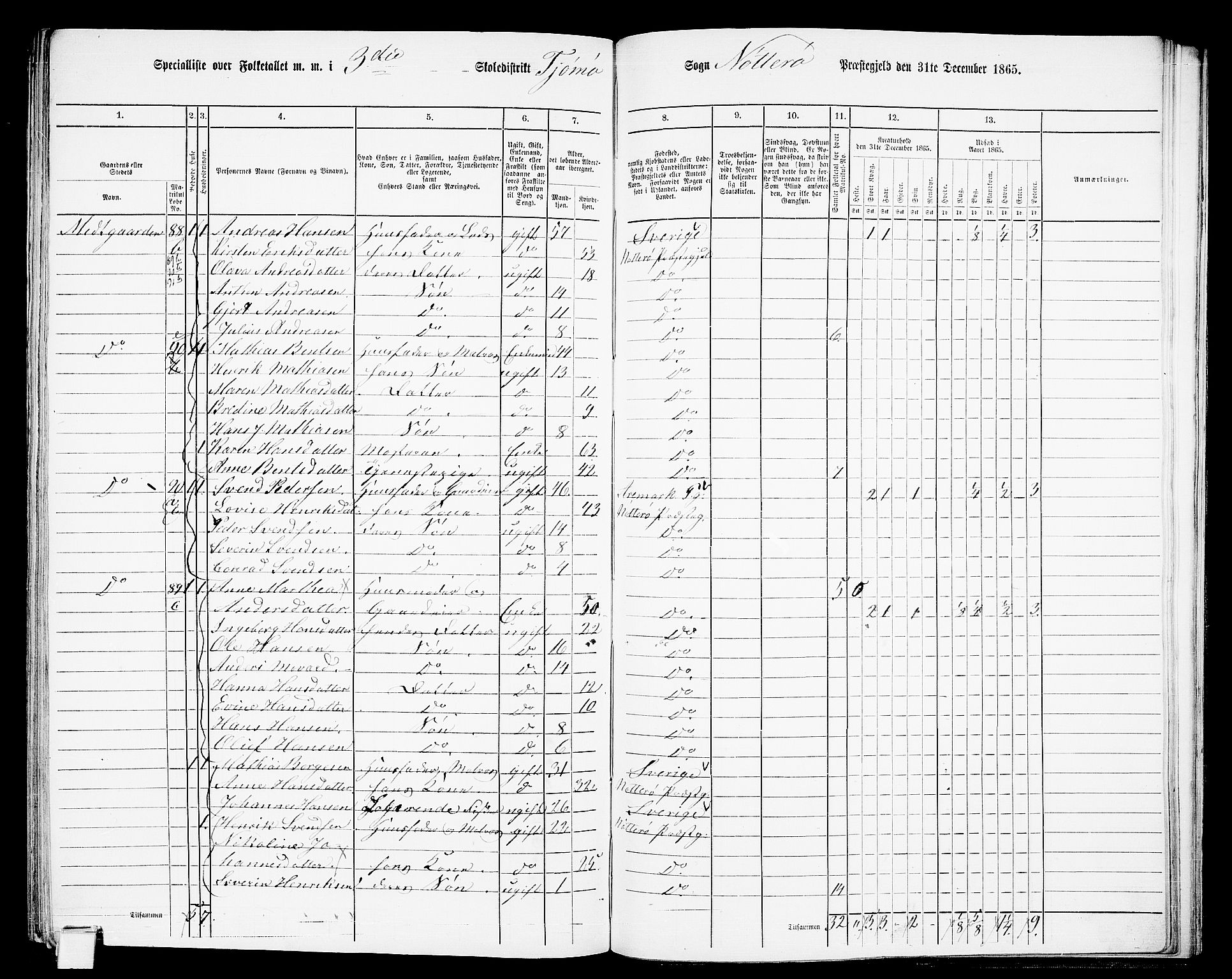 RA, 1865 census for Nøtterøy, 1865, p. 276