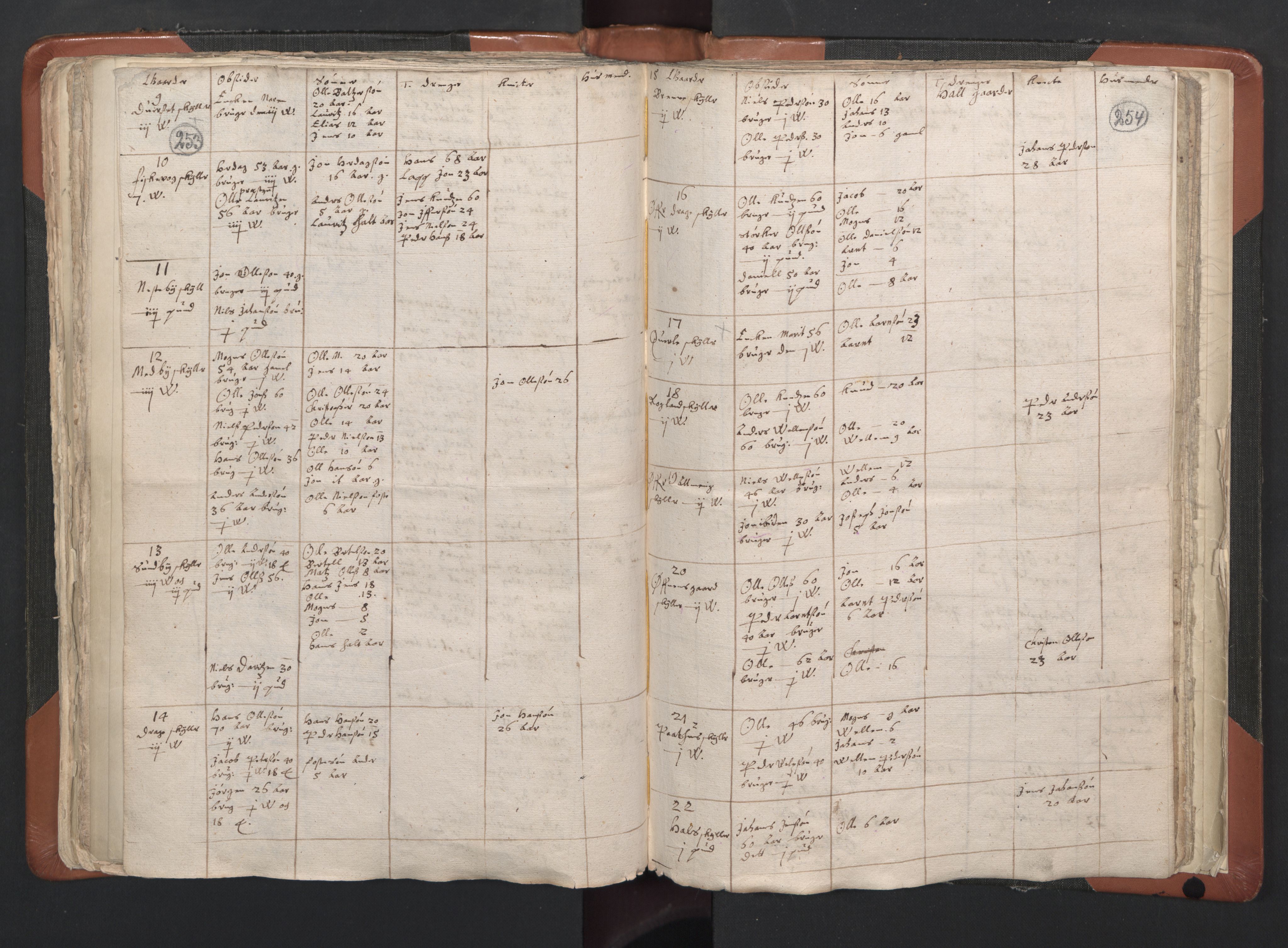 RA, Vicar's Census 1664-1666, no. 35: Helgeland deanery and Salten deanery, 1664-1666, p. 253-254