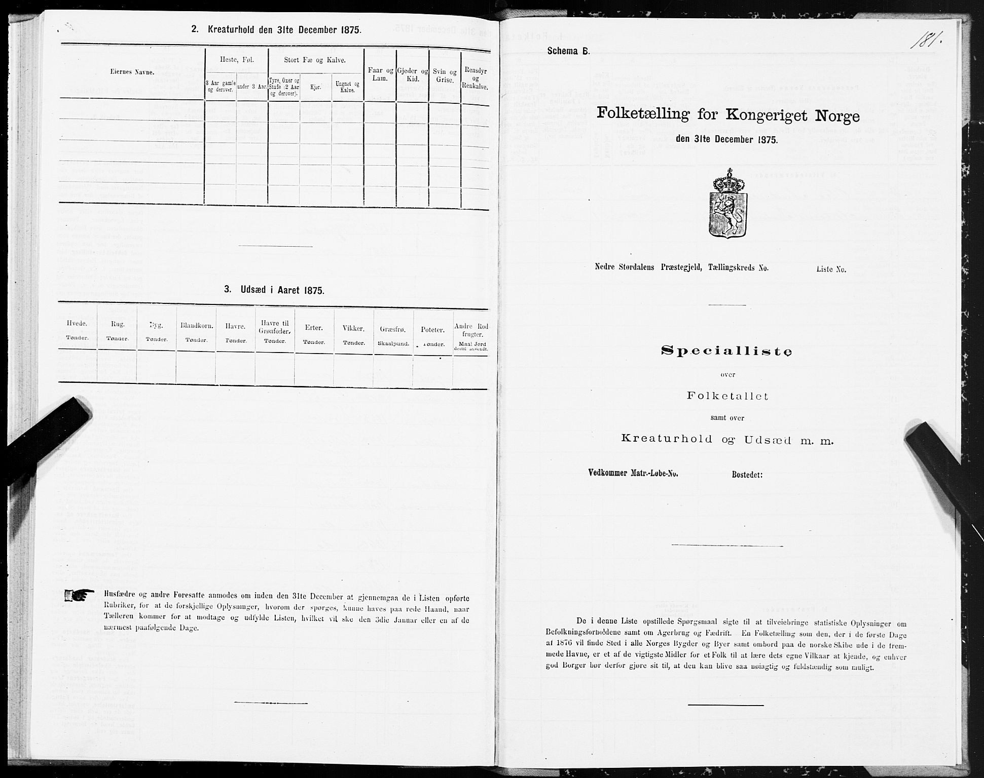 SAT, 1875 census for 1714P Nedre Stjørdal, 1875, p. 6181