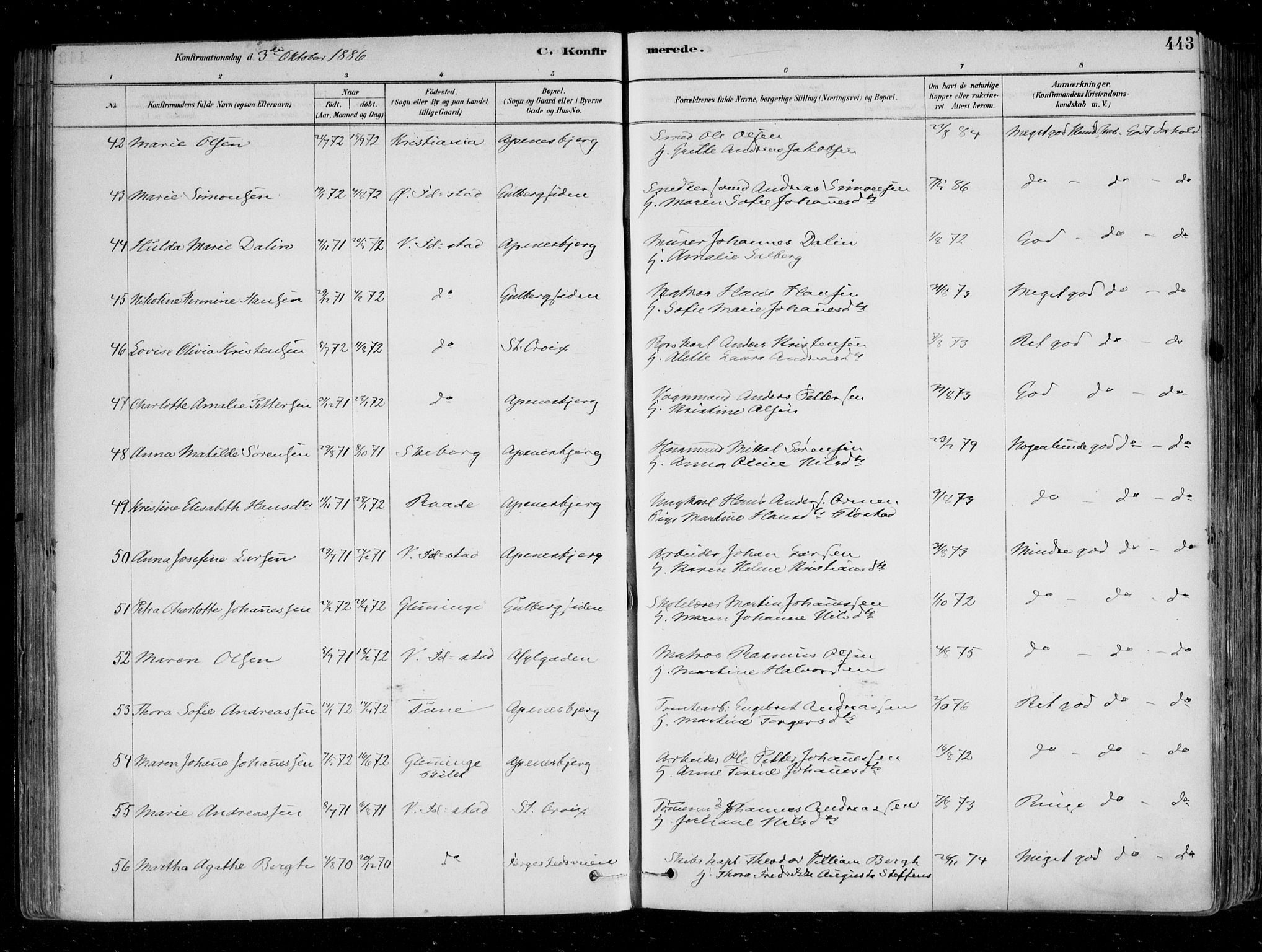 Fredrikstad domkirkes prestekontor Kirkebøker, AV/SAO-A-10906/F/Fa/L0004: Parish register (official) no. 4, 1878-1907, p. 443