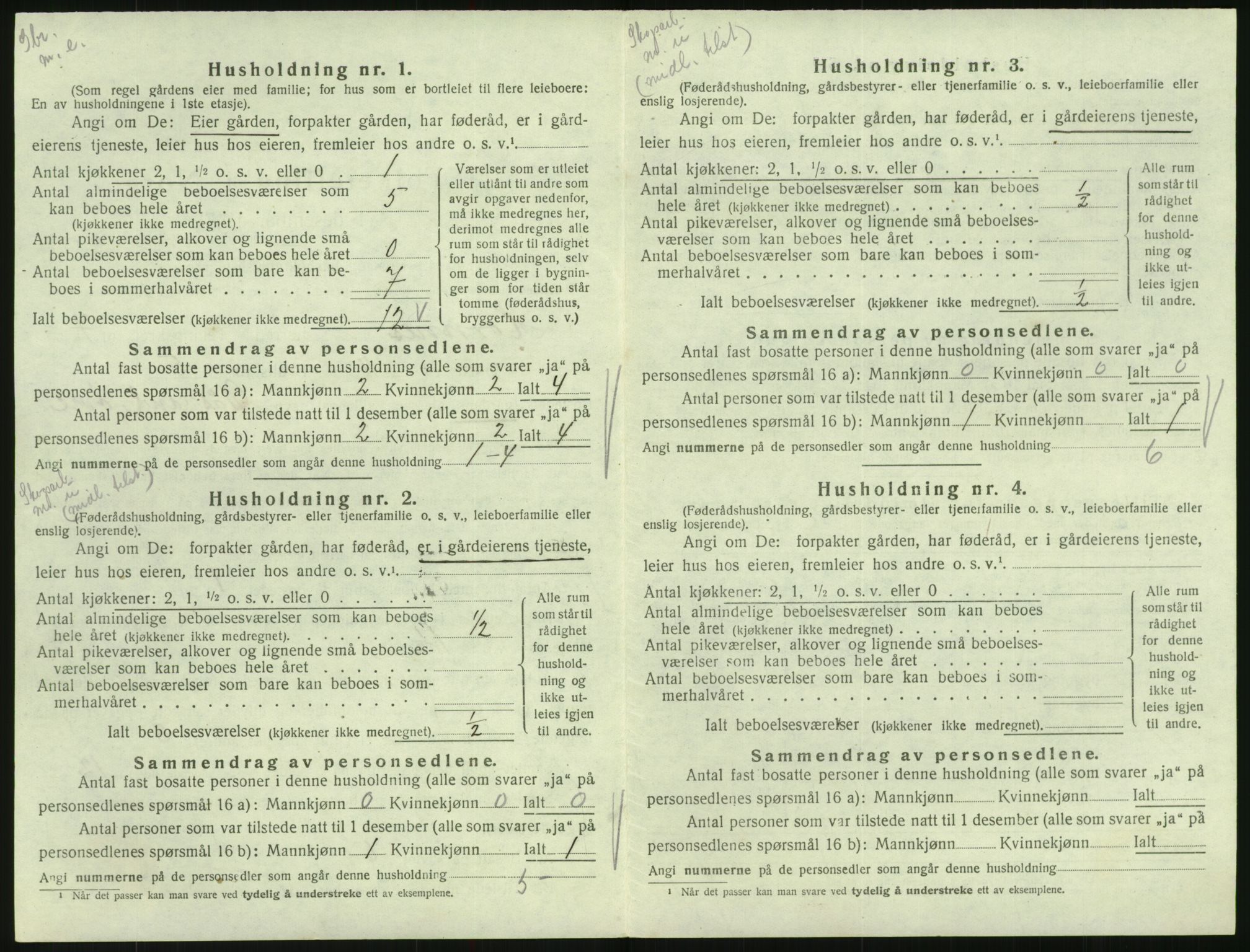 SAK, 1920 census for Hornnes, 1920, p. 272