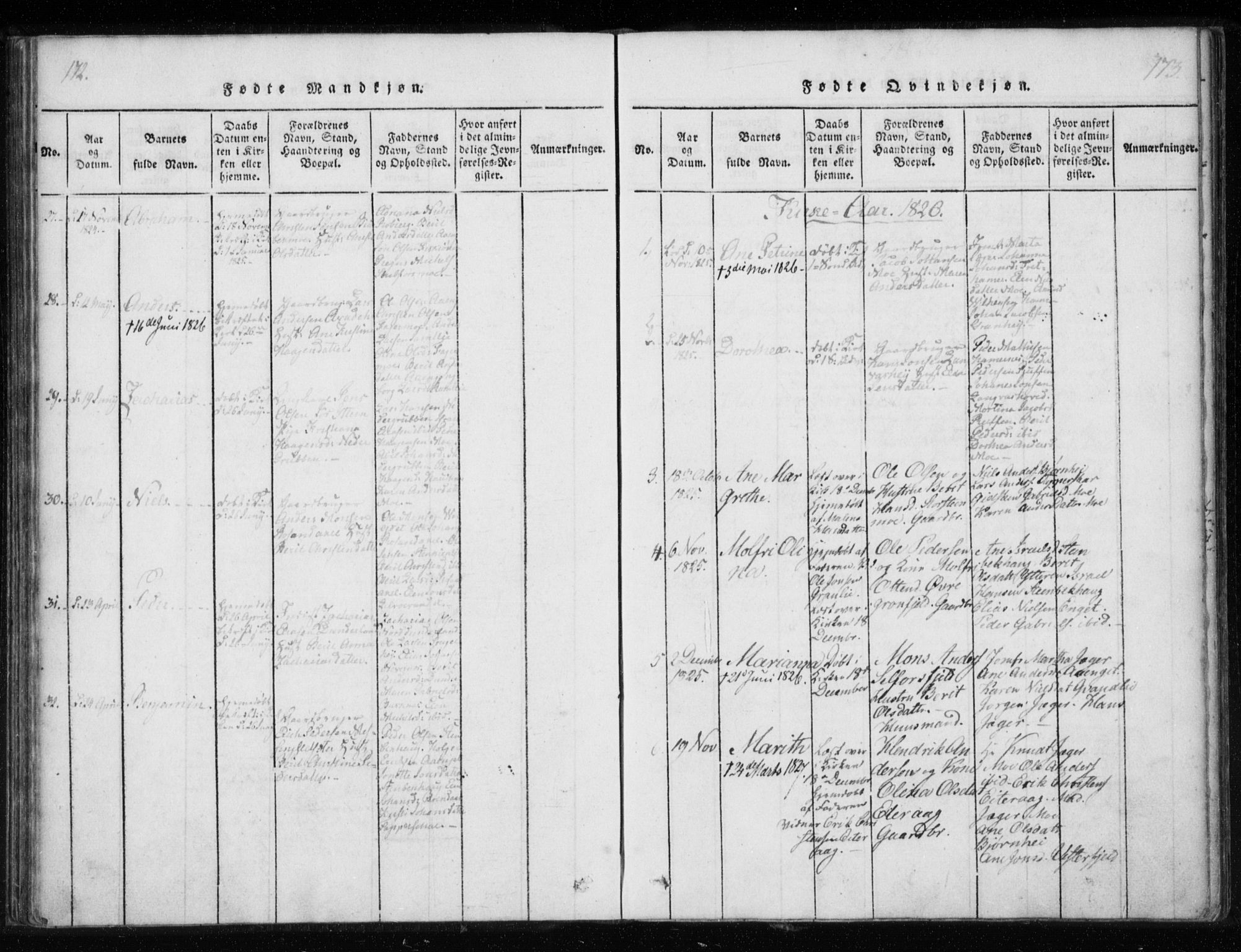 Ministerialprotokoller, klokkerbøker og fødselsregistre - Nordland, AV/SAT-A-1459/825/L0353: Parish register (official) no. 825A07, 1820-1826, p. 172-173