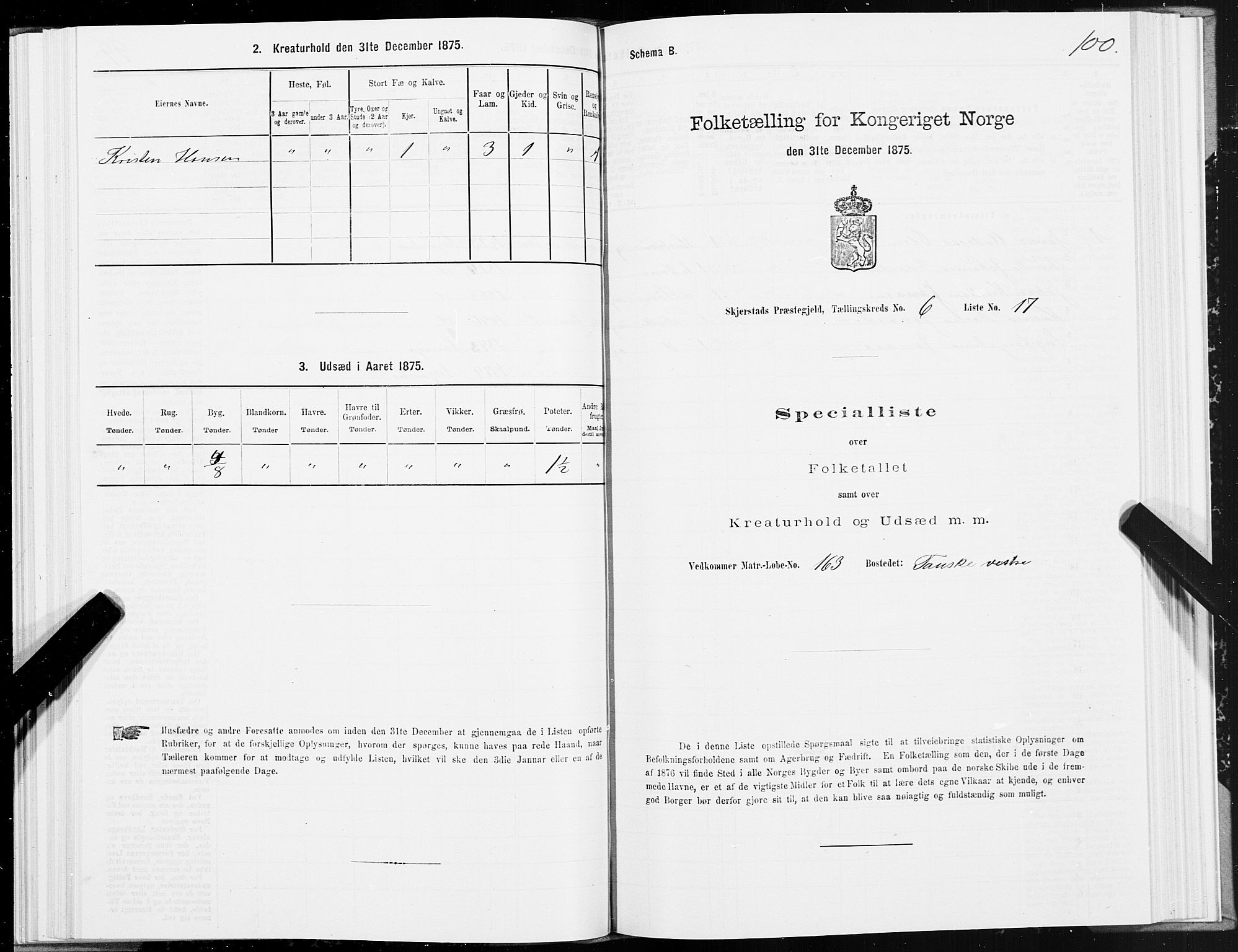 SAT, 1875 census for 1842P Skjerstad, 1875, p. 3100