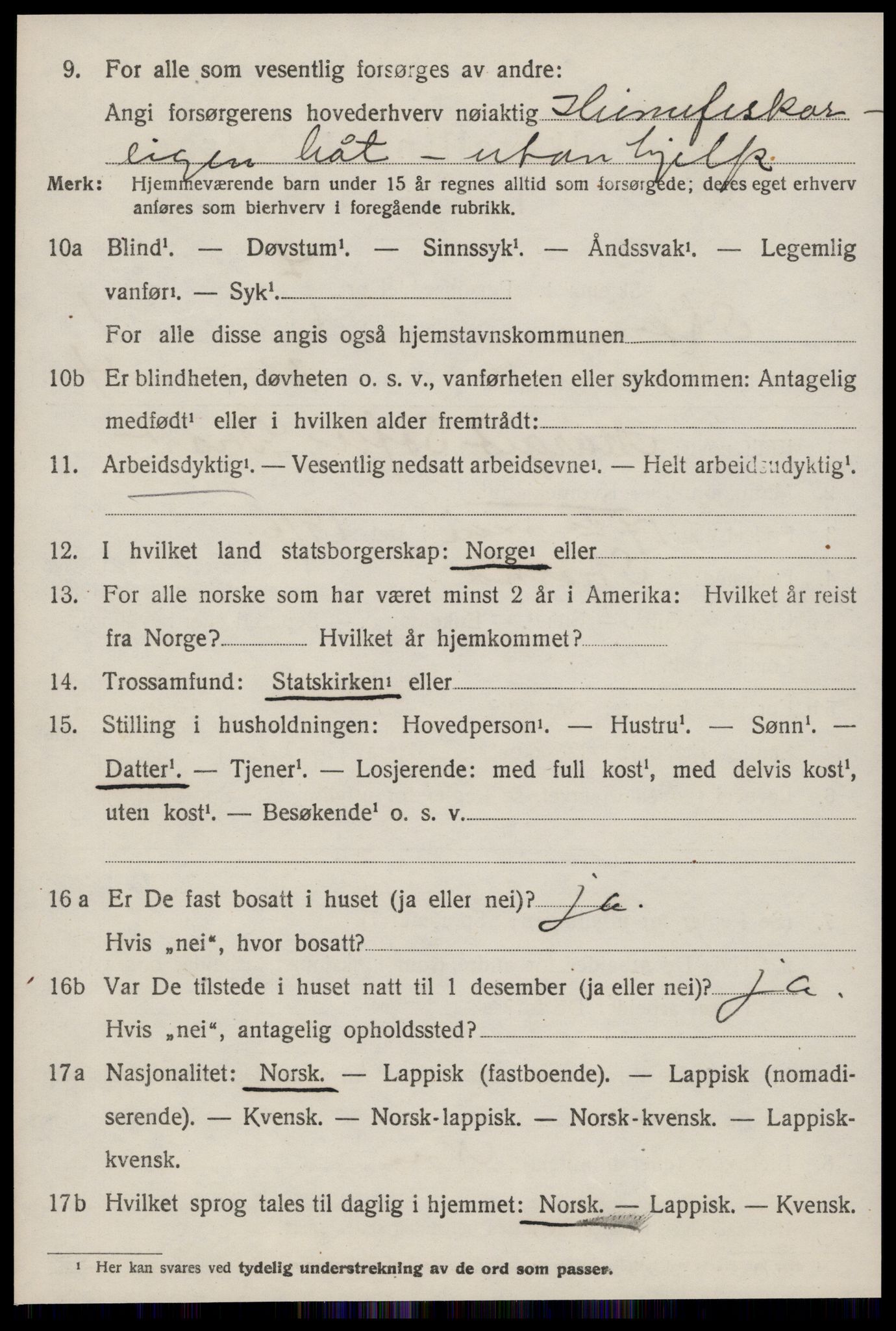 SAT, 1920 census for Stjørna, 1920, p. 1019