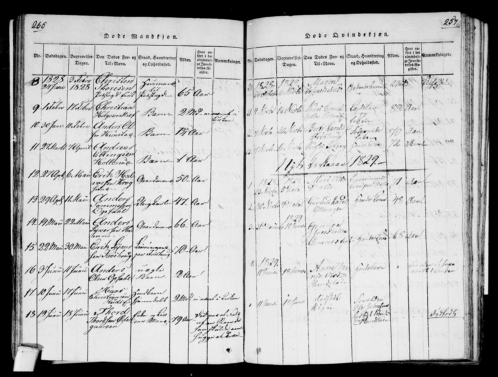 Hole kirkebøker, AV/SAKO-A-228/F/Fa/L0004: Parish register (official) no. I 4, 1814-1833, p. 256-257