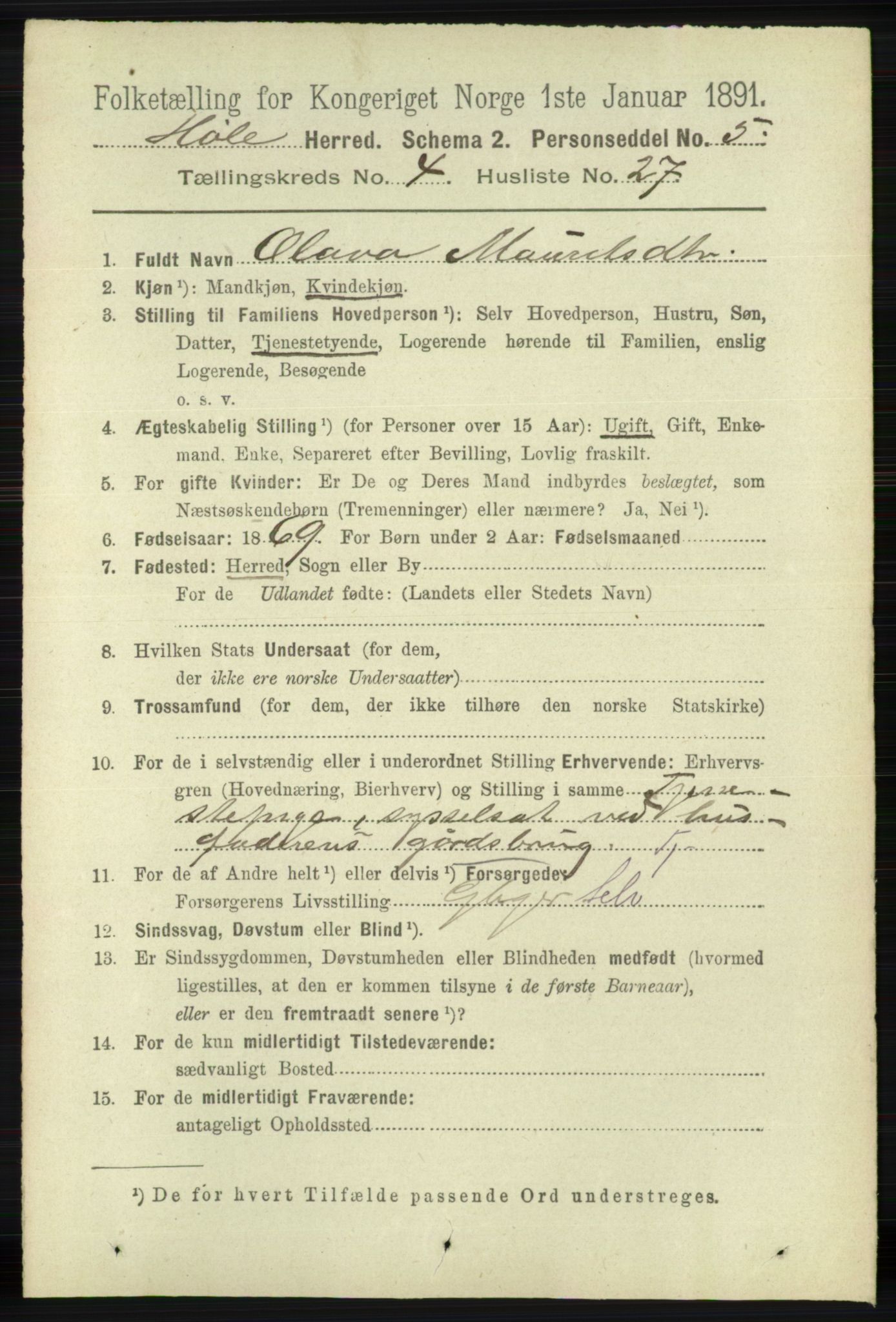 RA, 1891 census for 1128 Høle, 1891, p. 1005