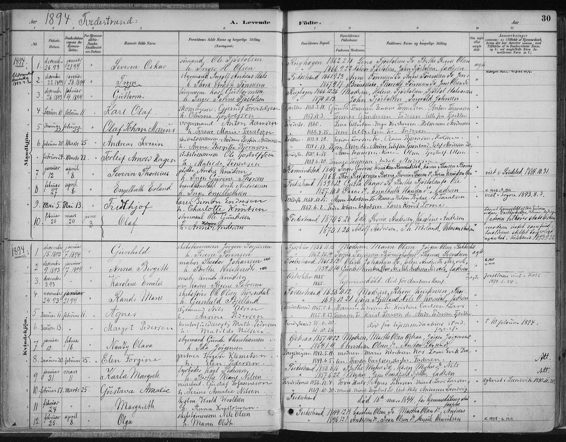 Tvedestrand sokneprestkontor, SAK/1111-0042/F/Fa/L0001: Parish register (official) no. A 1, 1885-1916, p. 30