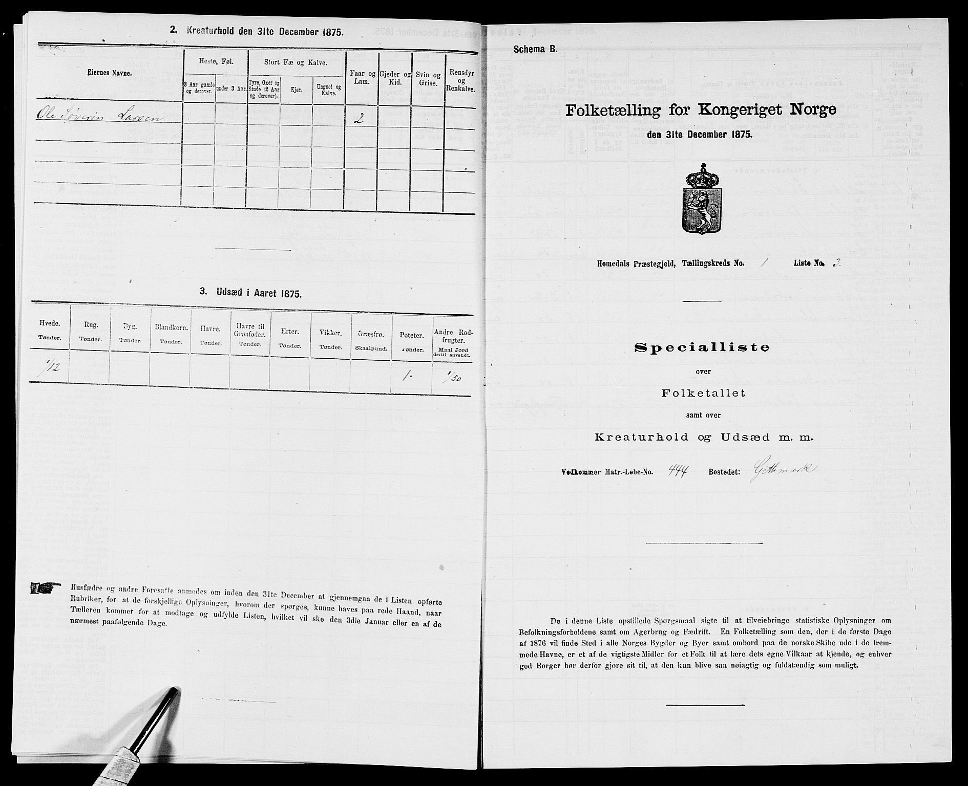 SAK, 1875 census for 0924P Homedal, 1875, p. 21