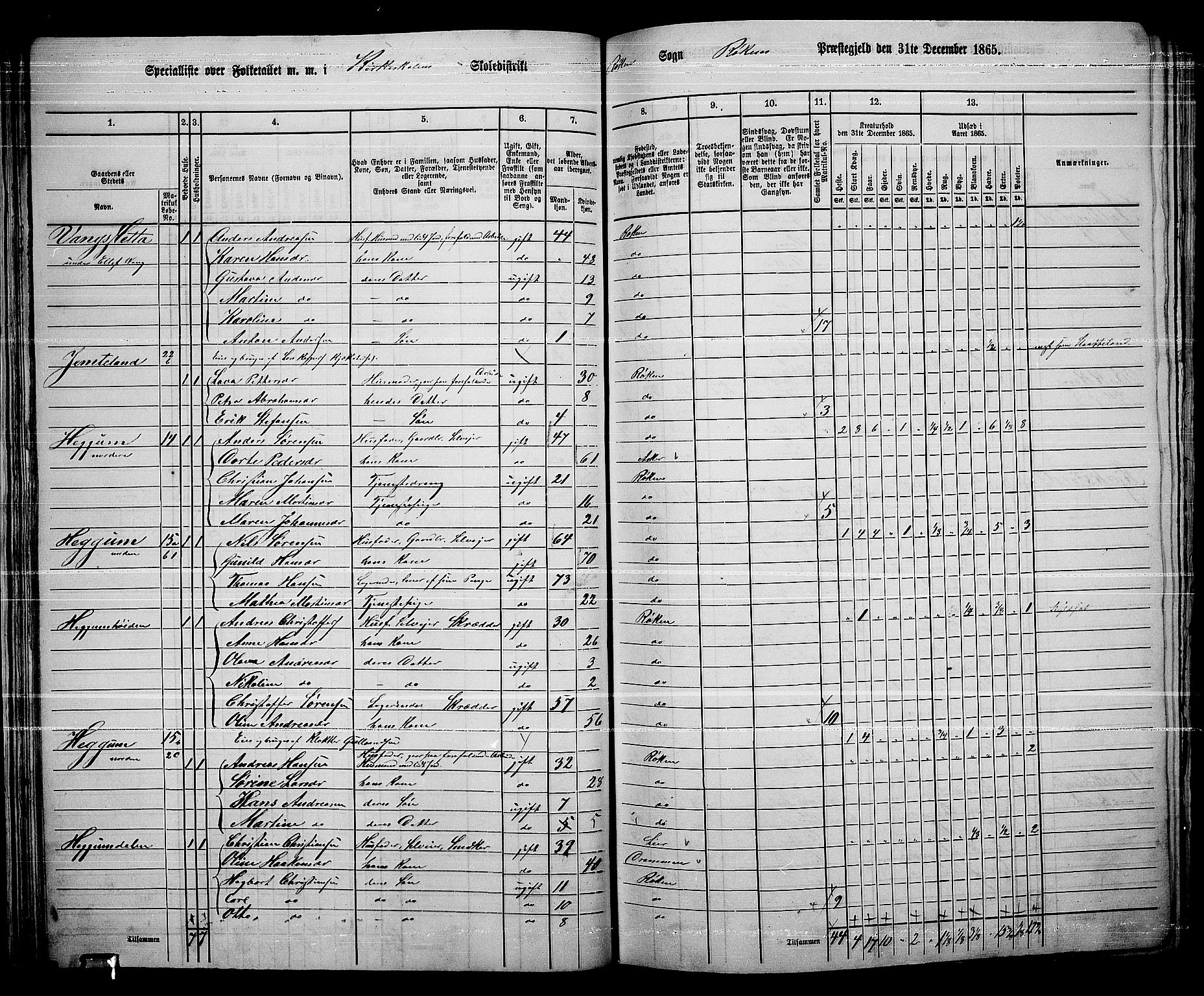 RA, 1865 census for Røyken, 1865, p. 45