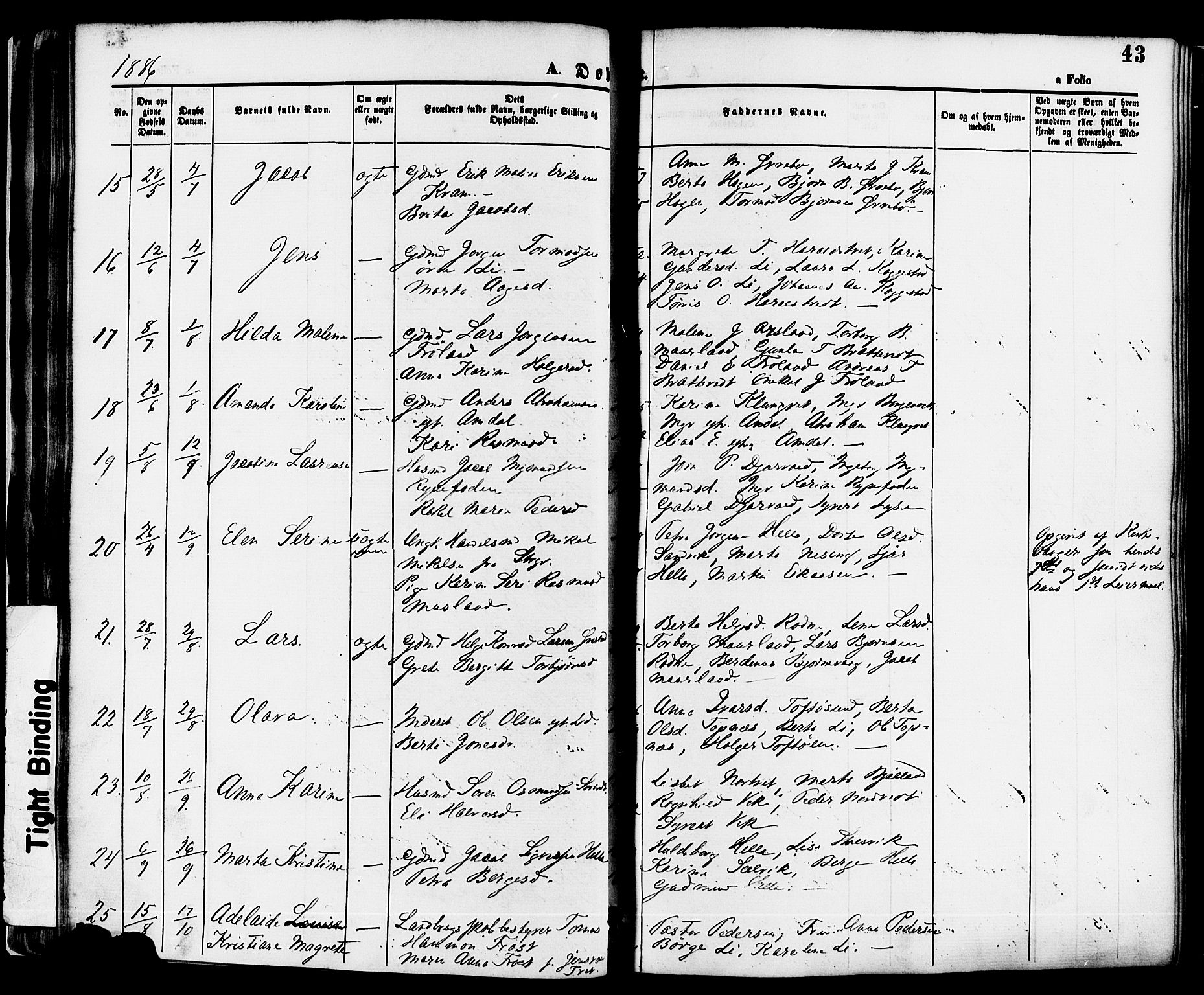 Nedstrand sokneprestkontor, AV/SAST-A-101841/01/IV: Parish register (official) no. A 11, 1877-1887, p. 43