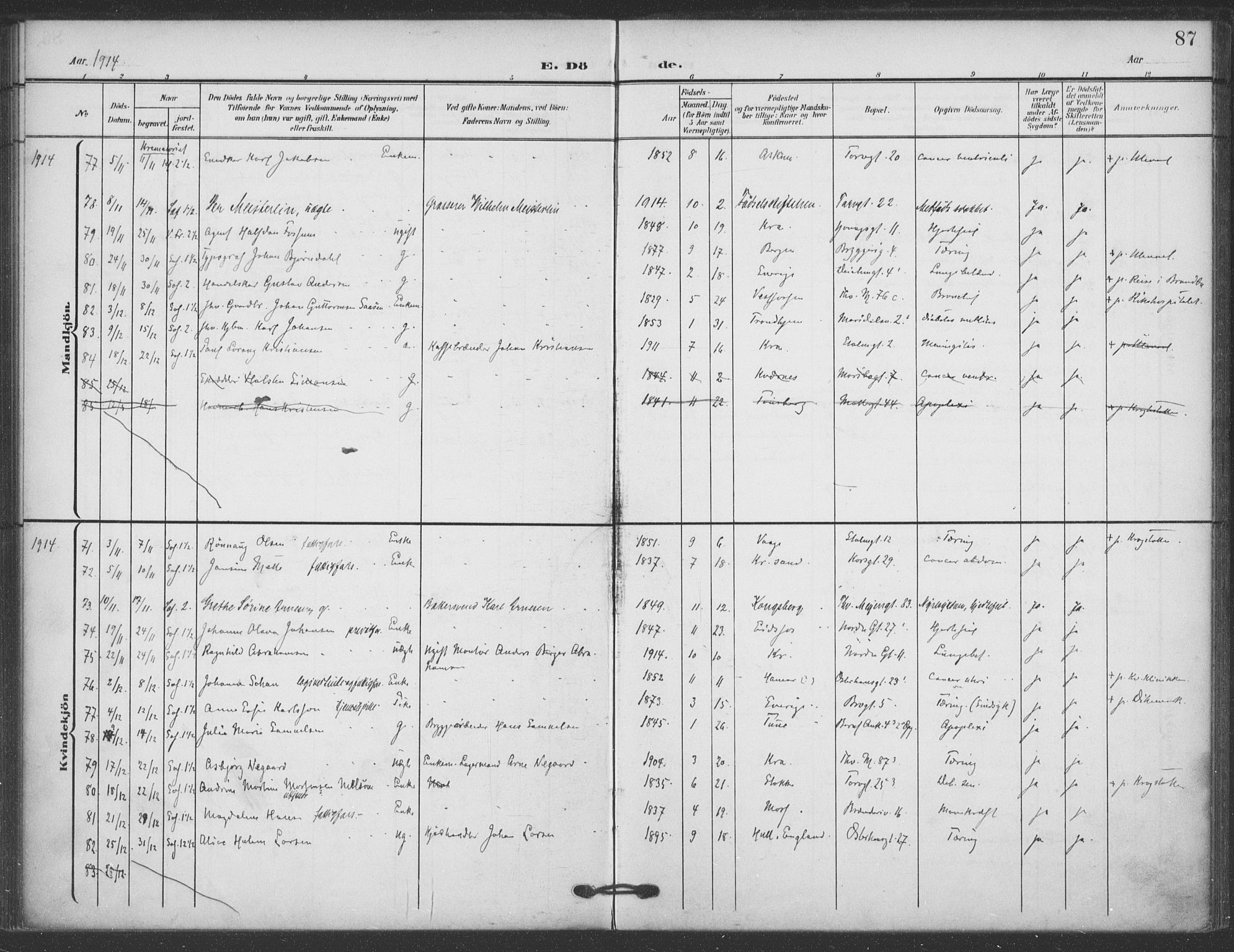 Jakob prestekontor Kirkebøker, SAO/A-10850/F/Fa/L0011: Parish register (official) no. 11, 1906-1920, p. 87