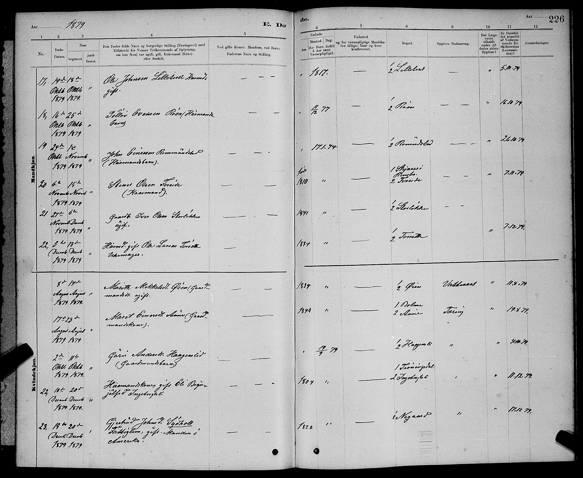 Ministerialprotokoller, klokkerbøker og fødselsregistre - Møre og Romsdal, AV/SAT-A-1454/598/L1077: Parish register (copy) no. 598C02, 1879-1891, p. 226