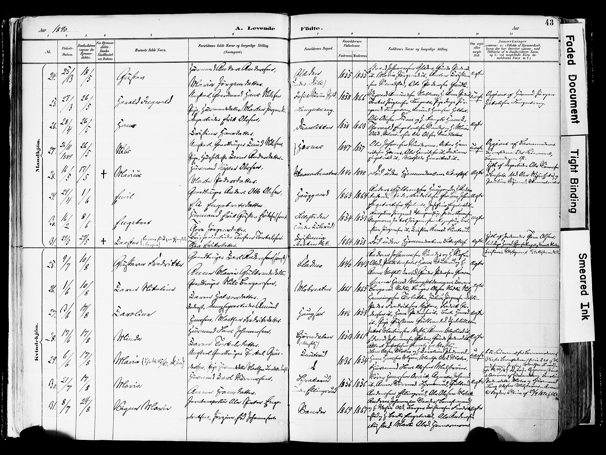 Sør-Odal prestekontor, AV/SAH-PREST-030/H/Ha/Haa/L0006: Parish register (official) no. 6, 1886-1931, p. 43