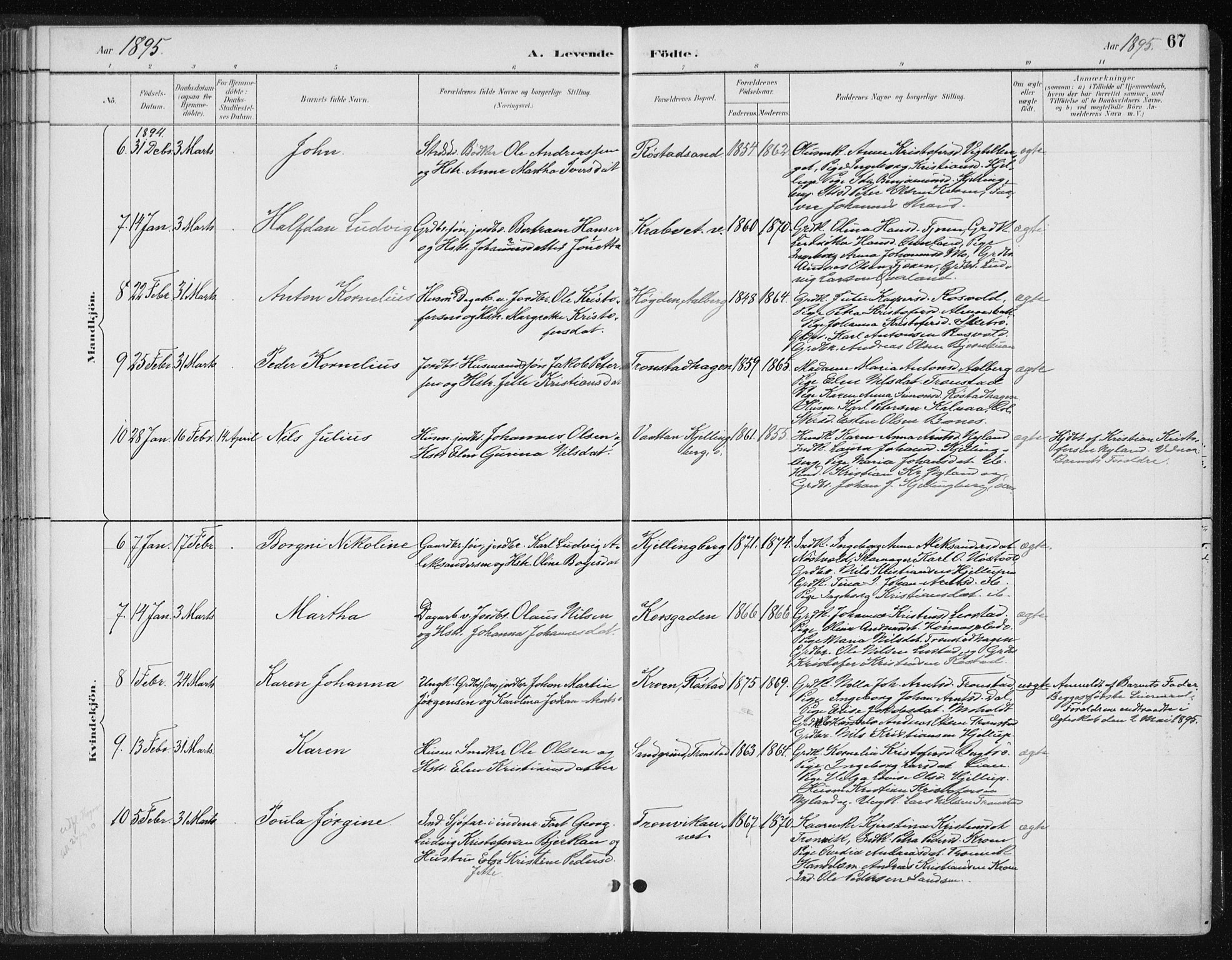 Ministerialprotokoller, klokkerbøker og fødselsregistre - Nord-Trøndelag, AV/SAT-A-1458/701/L0010: Parish register (official) no. 701A10, 1883-1899, p. 67