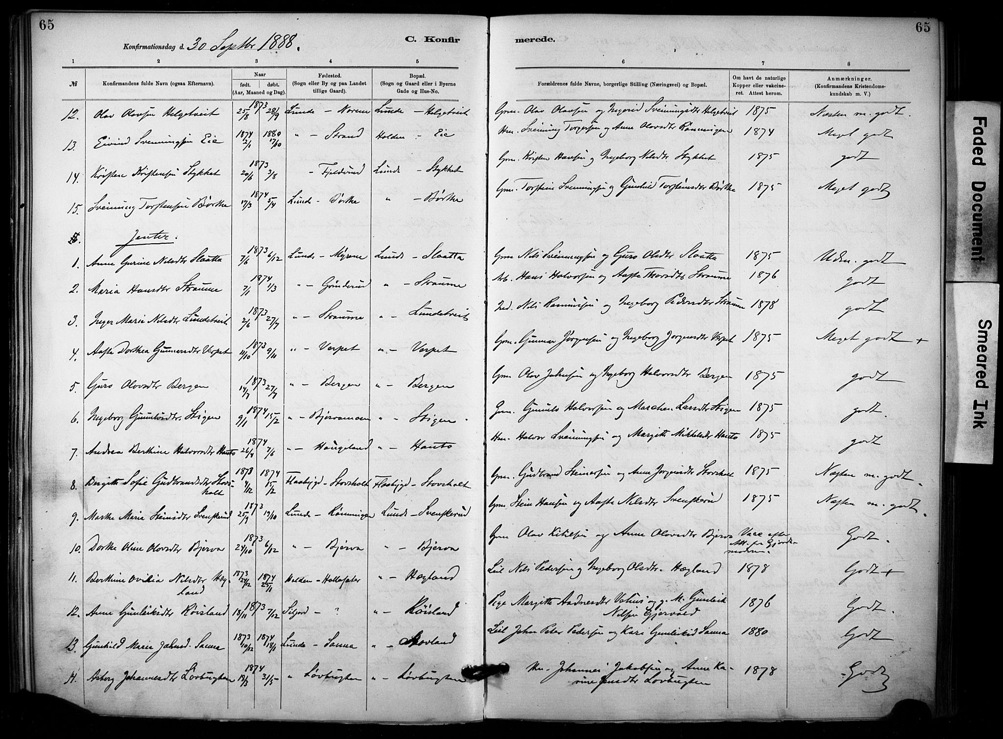 Lunde kirkebøker, SAKO/A-282/F/Fa/L0002: Parish register (official) no. I 2, 1884-1892, p. 65