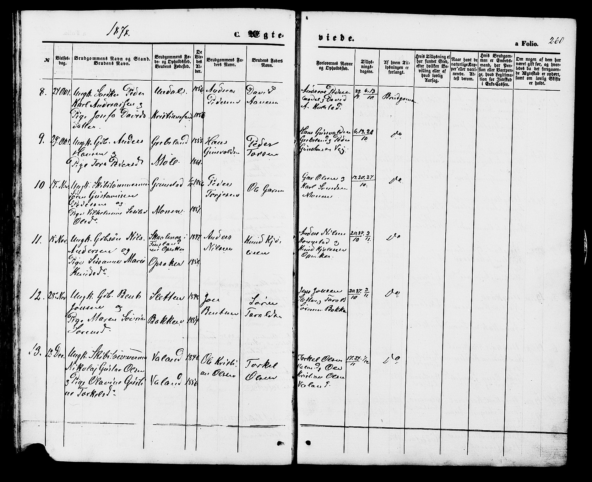 Holum sokneprestkontor, SAK/1111-0022/F/Fb/Fba/L0004: Parish register (copy) no. B 4, 1867-1890, p. 260
