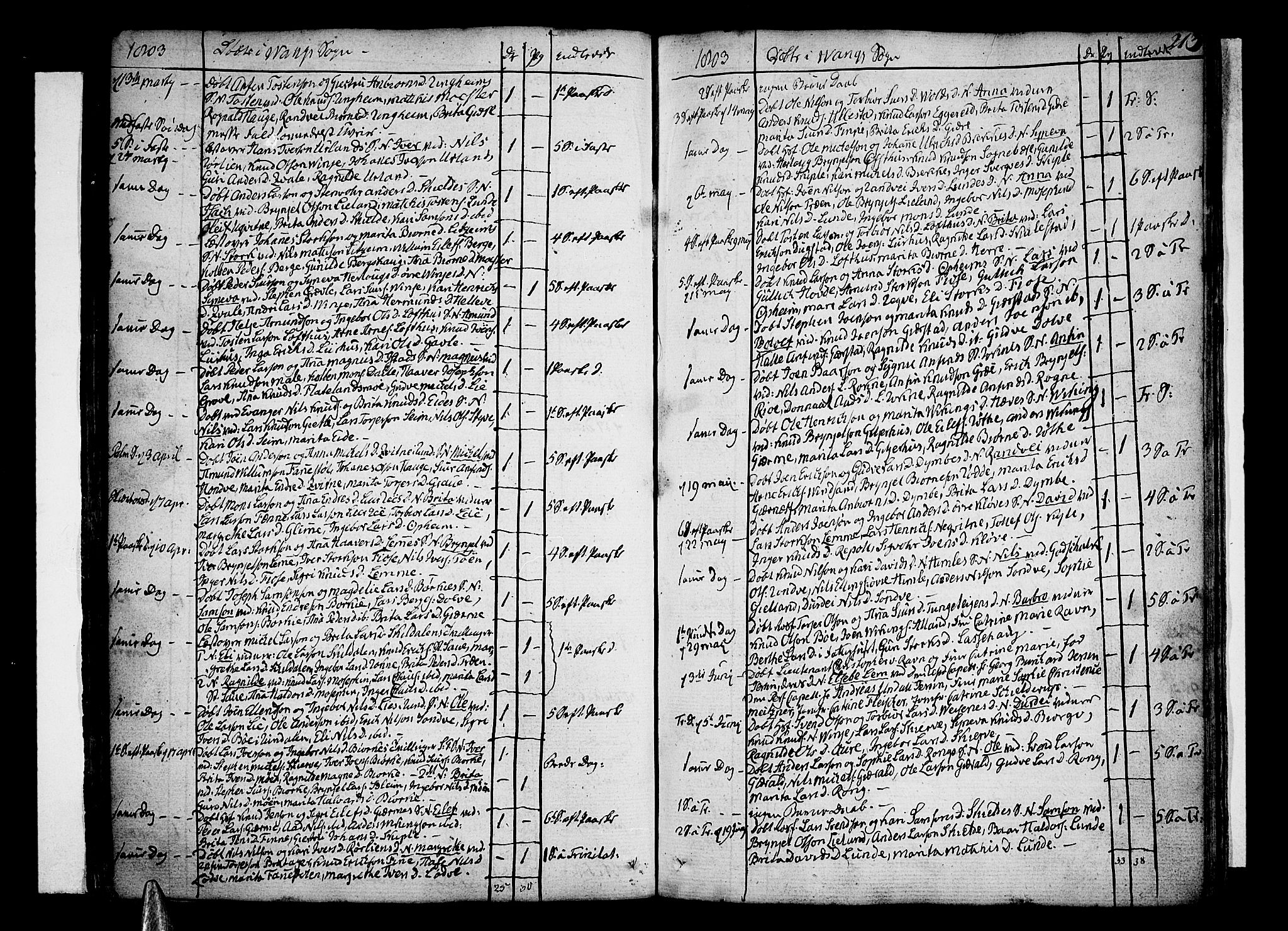 Voss sokneprestembete, SAB/A-79001/H/Haa: Parish register (official) no. A 9, 1780-1810, p. 213