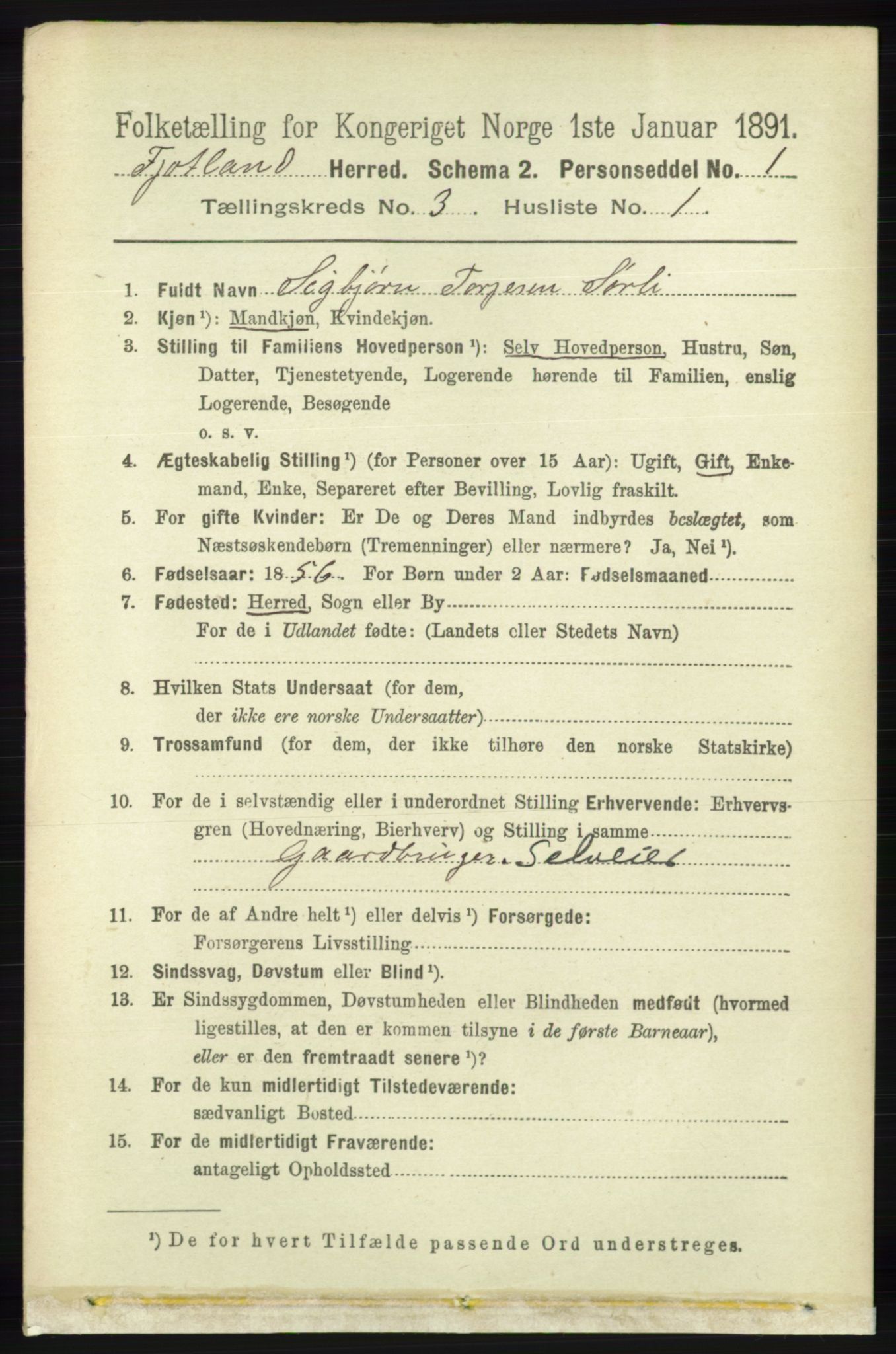 RA, 1891 census for 1036 Fjotland, 1891, p. 390