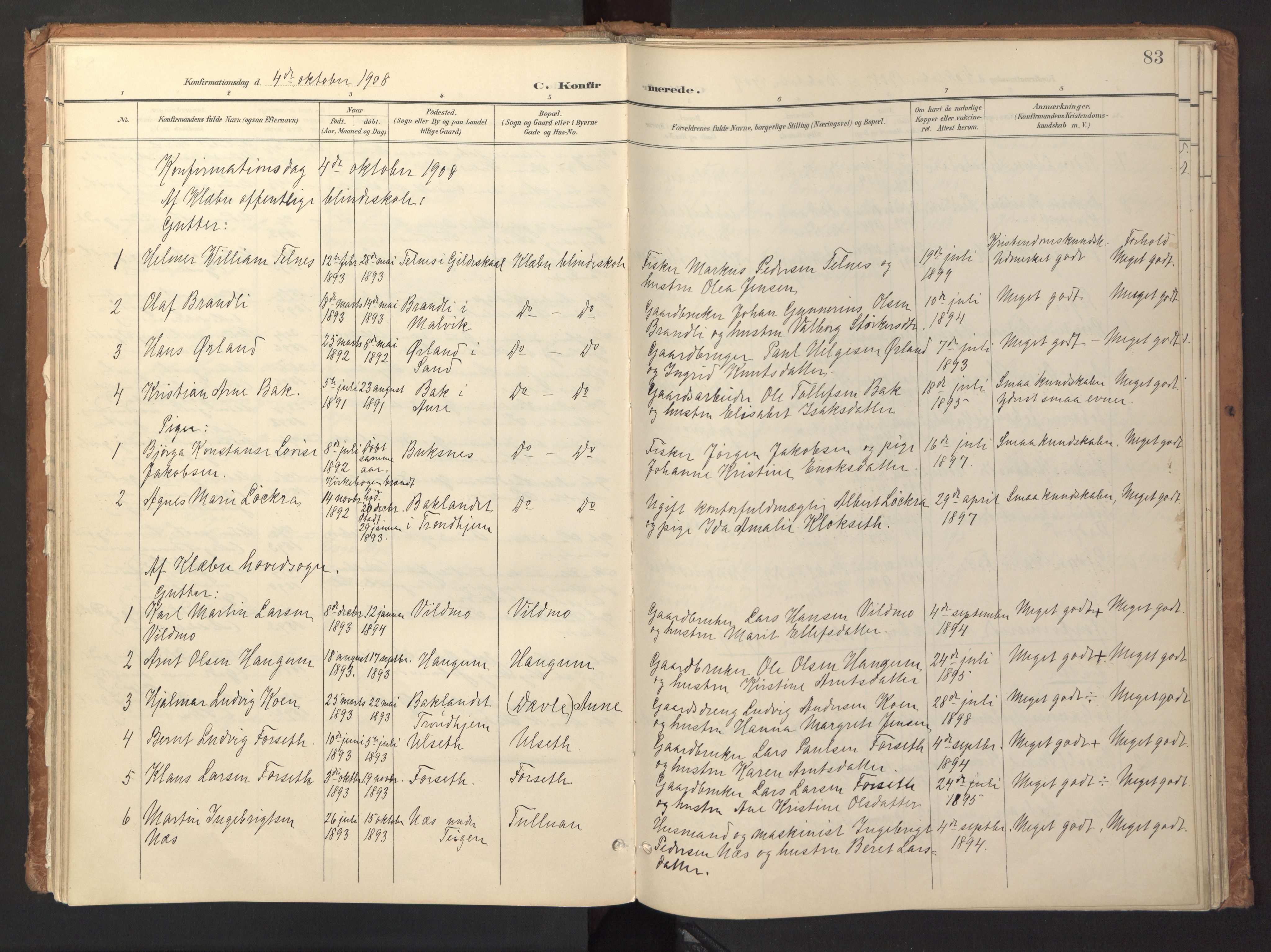 Ministerialprotokoller, klokkerbøker og fødselsregistre - Sør-Trøndelag, SAT/A-1456/618/L0448: Parish register (official) no. 618A11, 1898-1916, p. 83