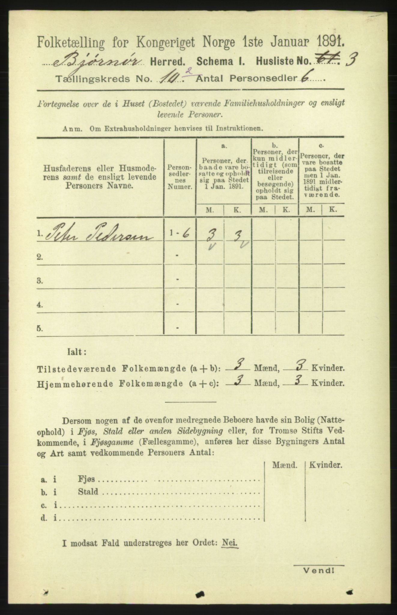 RA, 1891 census for 1632 Bjørnør, 1891, p. 4528