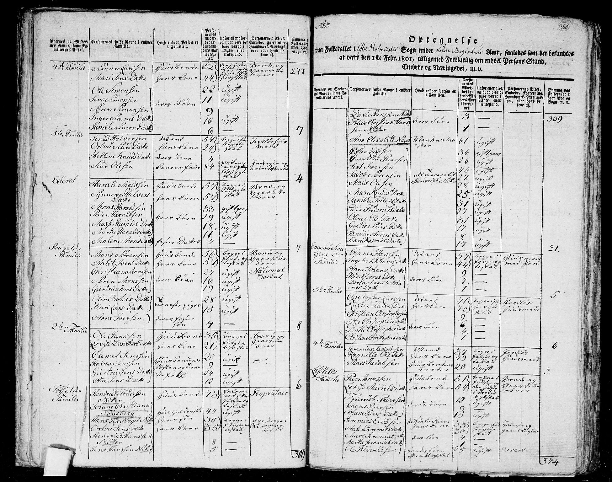 RA, 1801 census for 1429P Ytre Holmedal, 1801, p. 349b-350a