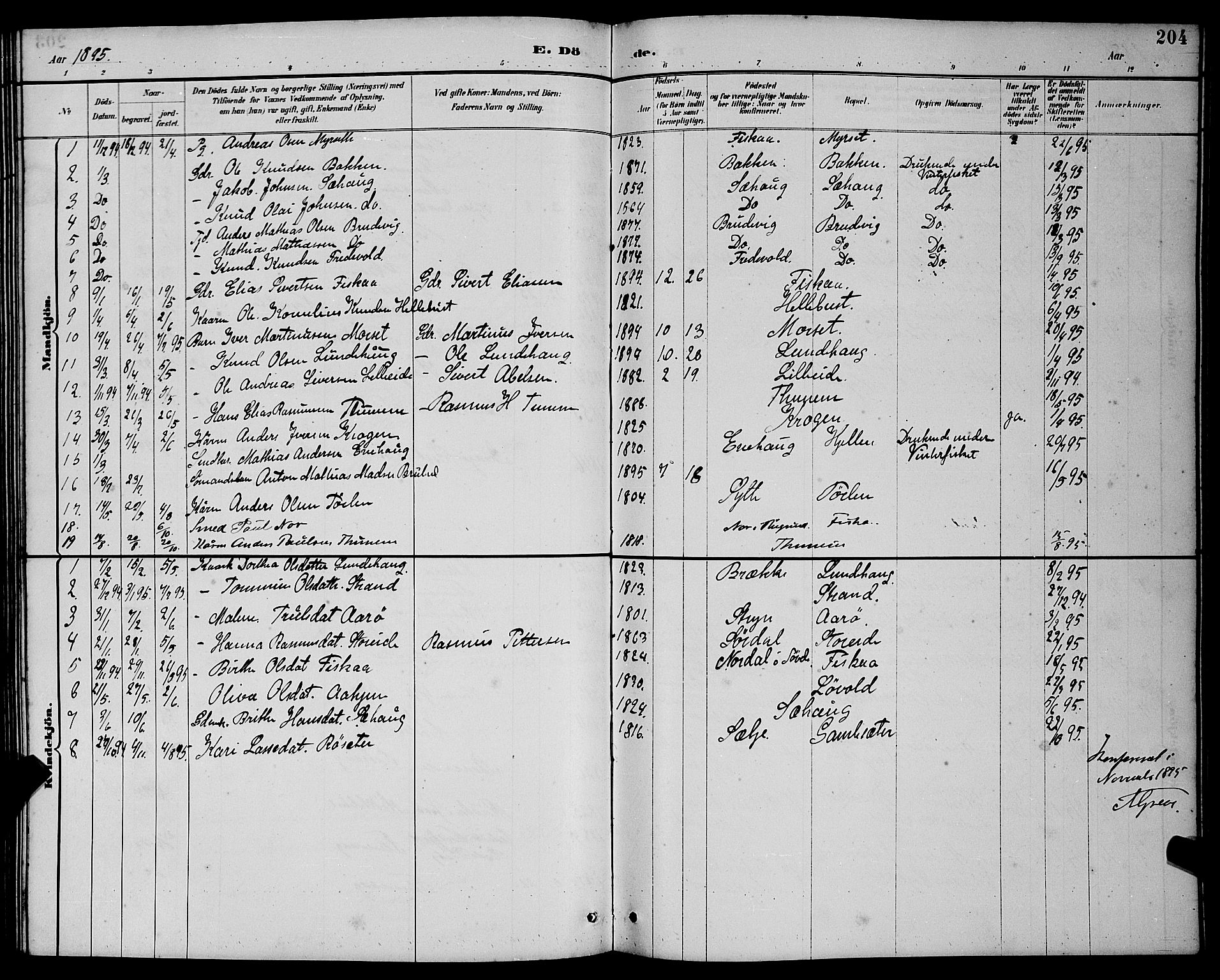 Ministerialprotokoller, klokkerbøker og fødselsregistre - Møre og Romsdal, AV/SAT-A-1454/501/L0017: Parish register (copy) no. 501C03, 1885-1901, p. 204