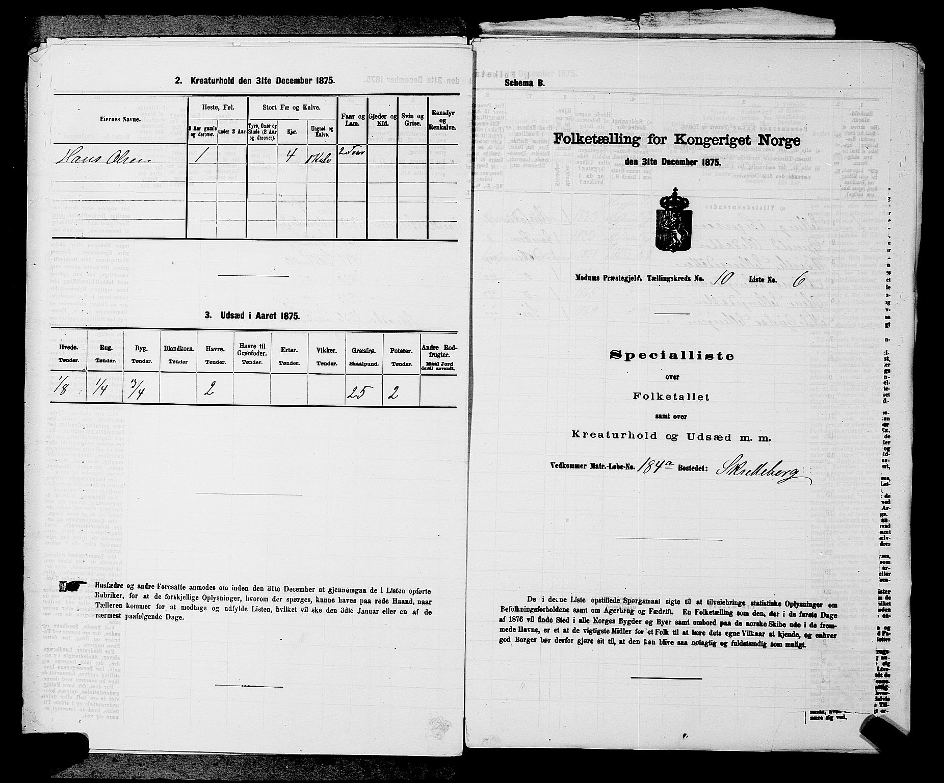 SAKO, 1875 census for 0623P Modum, 1875, p. 1159