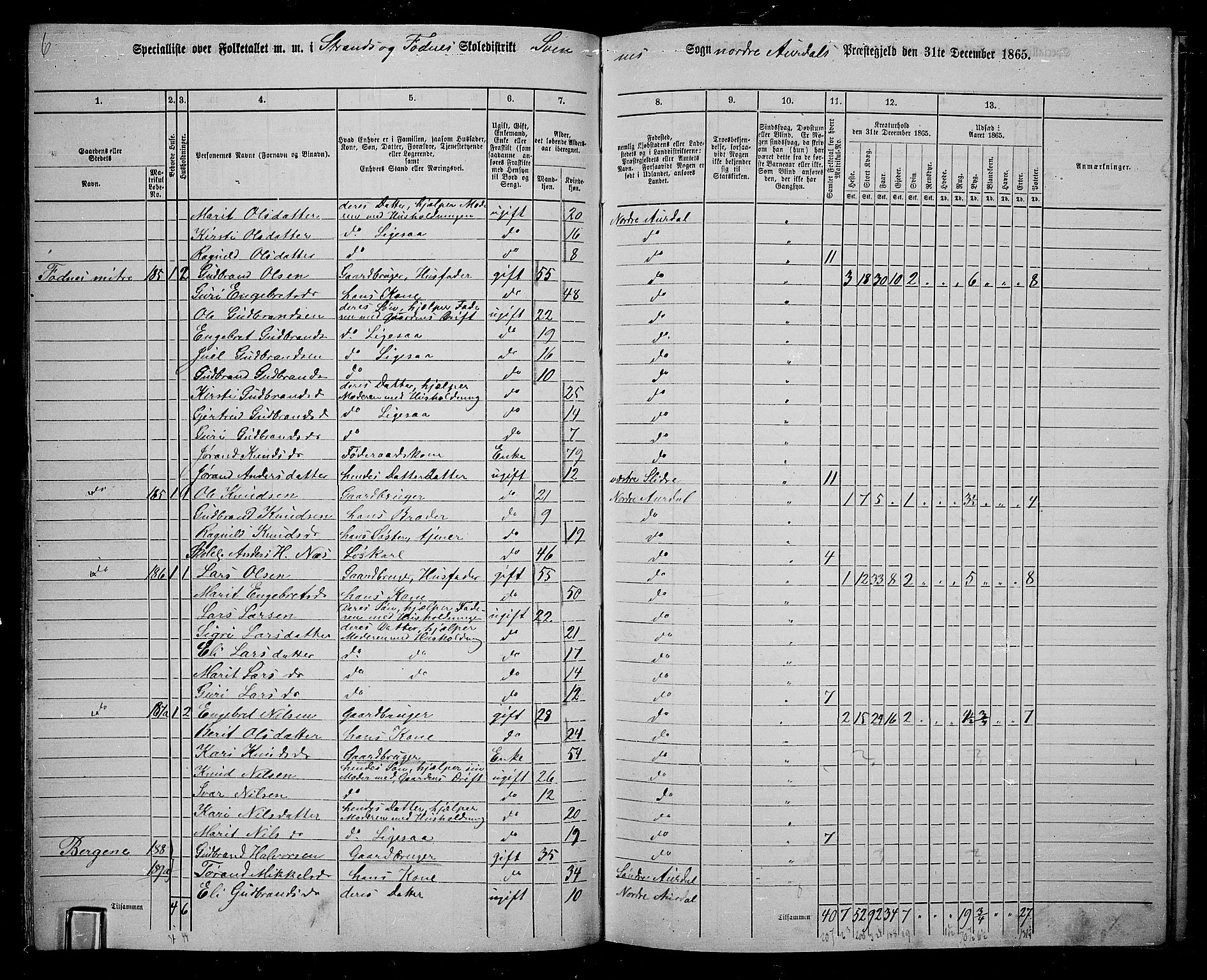 RA, 1865 census for Nord-Aurdal, 1865, p. 87