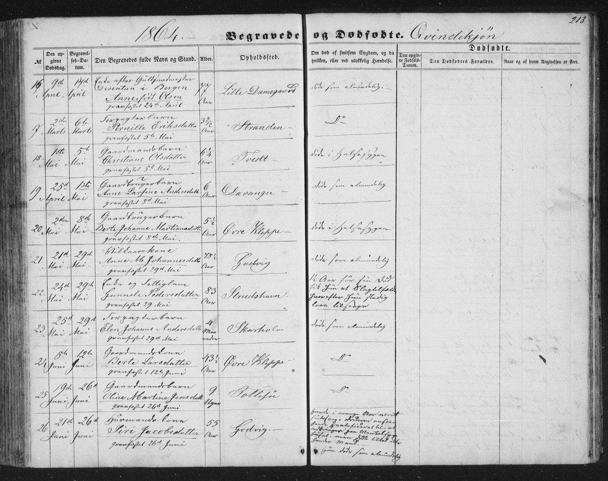 Askøy Sokneprestembete, SAB/A-74101/H/Ha/Hab/Haba/L0005: Parish register (copy) no. A 5, 1857-1871, p. 213