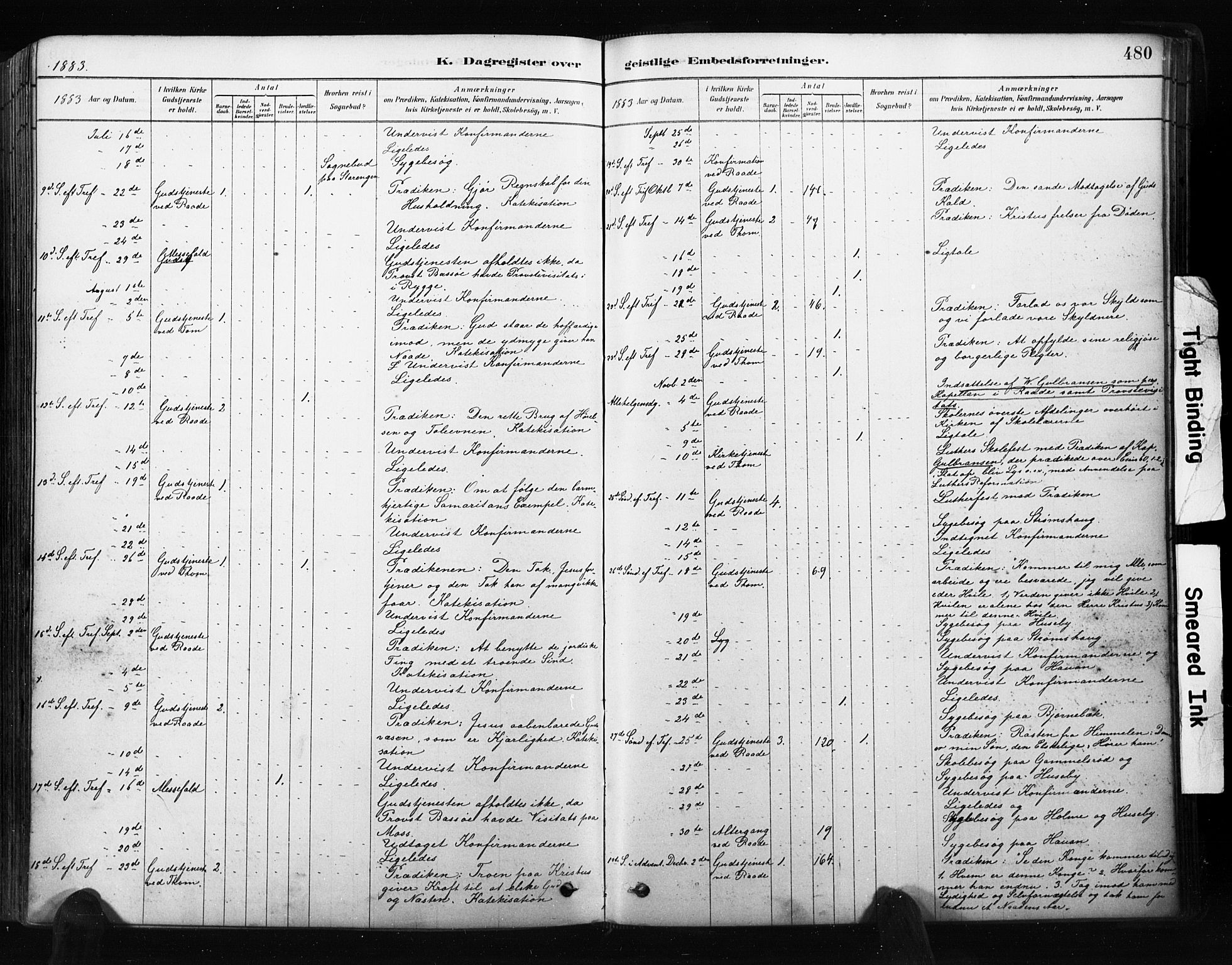 Råde prestekontor kirkebøker, AV/SAO-A-2009/F/Fa/L0007: Parish register (official) no. 7, 1878-1902, p. 480