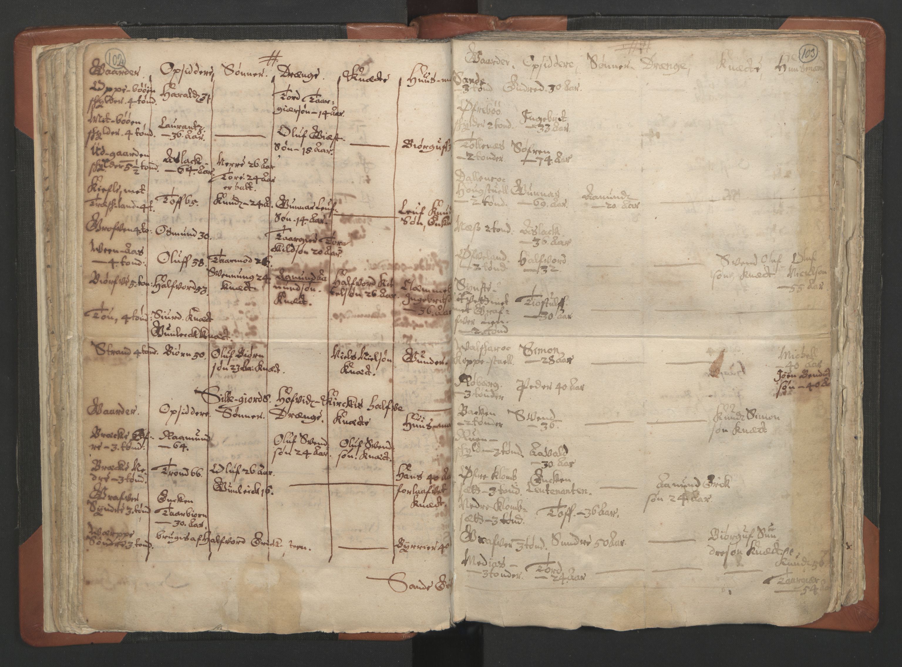RA, Vicar's Census 1664-1666, no. 12: Øvre Telemark deanery, Nedre Telemark deanery and Bamble deanery, 1664-1666, p. 102-103