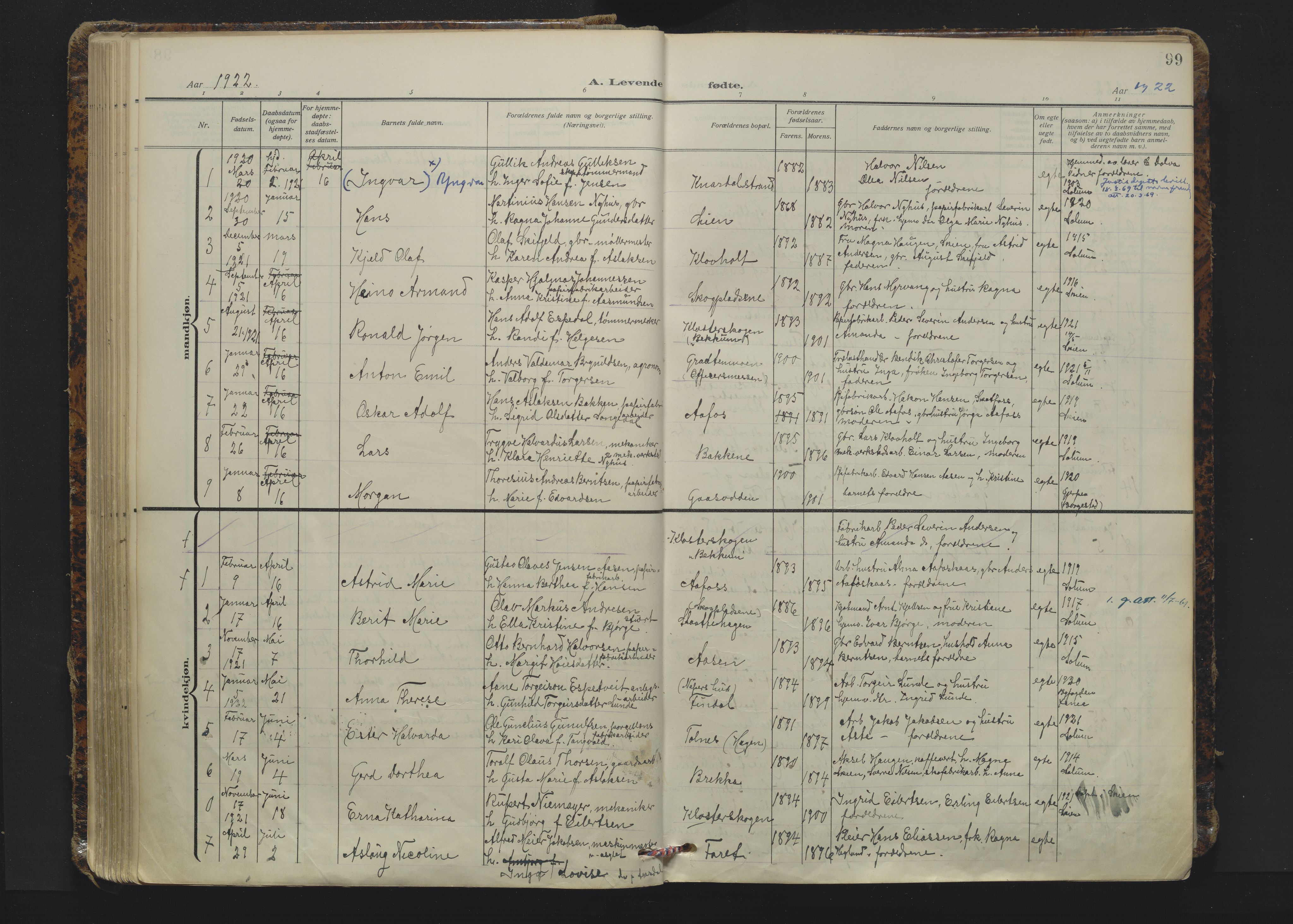 Solum kirkebøker, AV/SAKO-A-306/F/Fa/L0012: Parish register (official) no. I 12, 1909-1922, p. 99