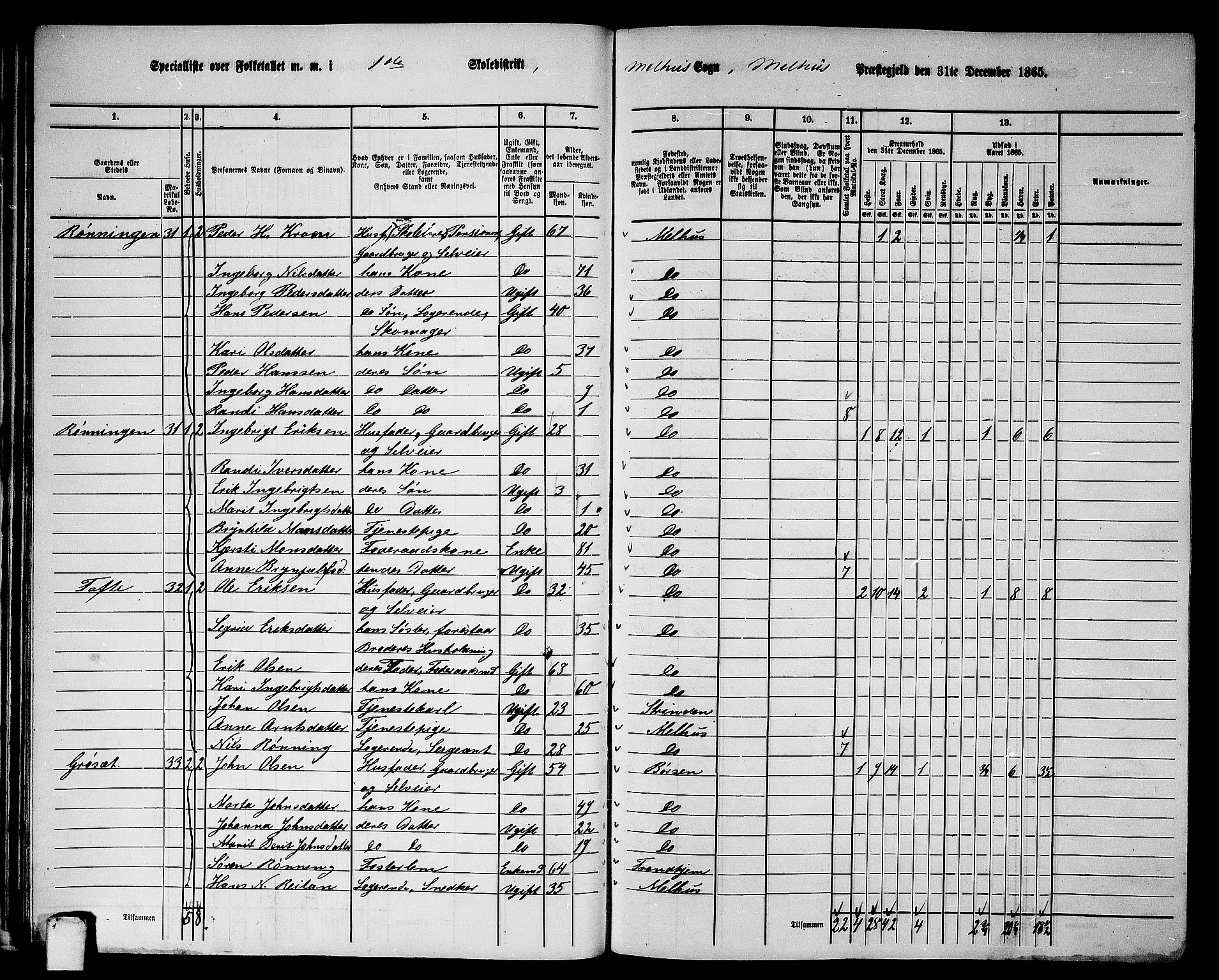 RA, 1865 census for Melhus, 1865, p. 33