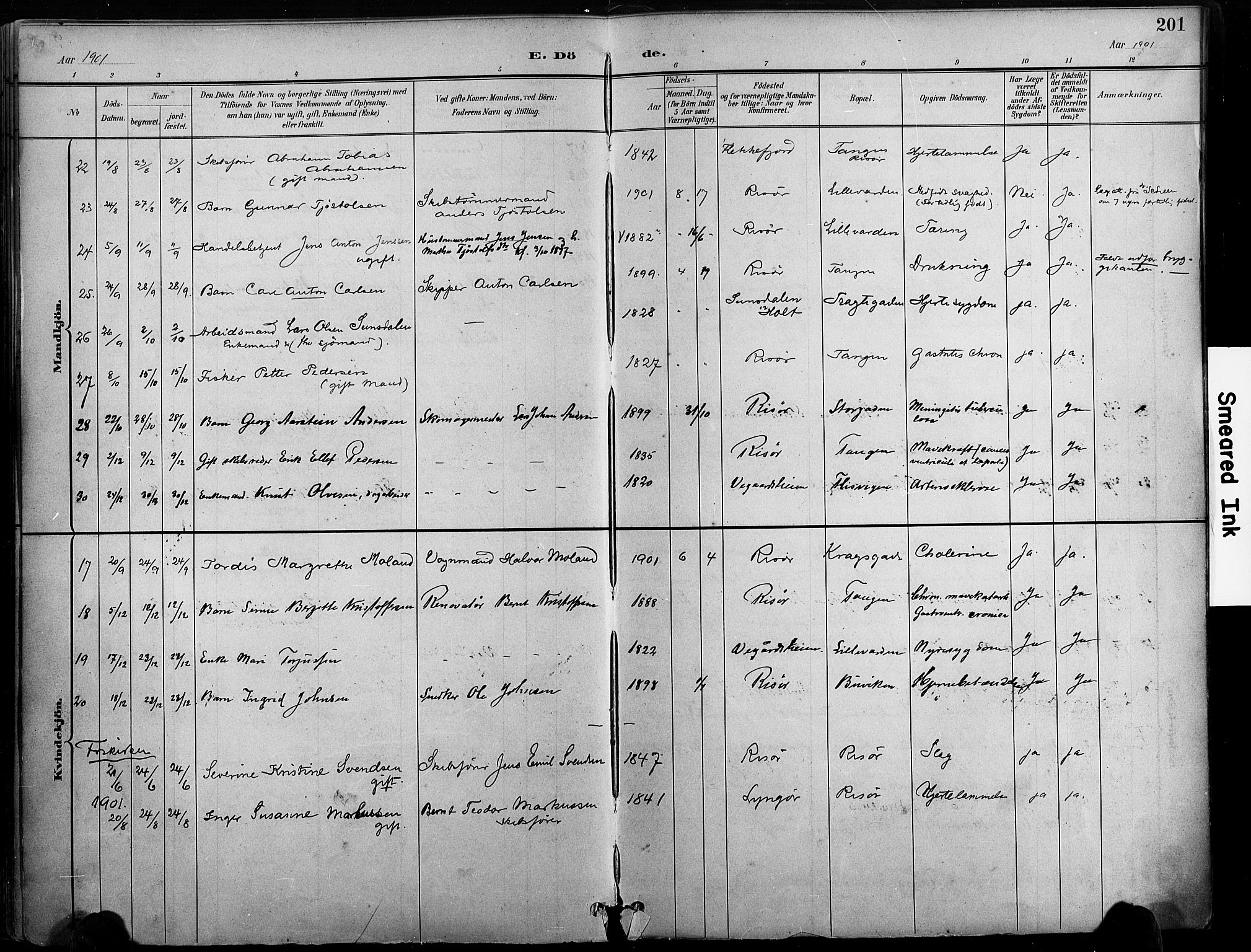 Risør sokneprestkontor, SAK/1111-0035/F/Fa/L0010: Parish register (official) no. A 10, 1896-1906, p. 201
