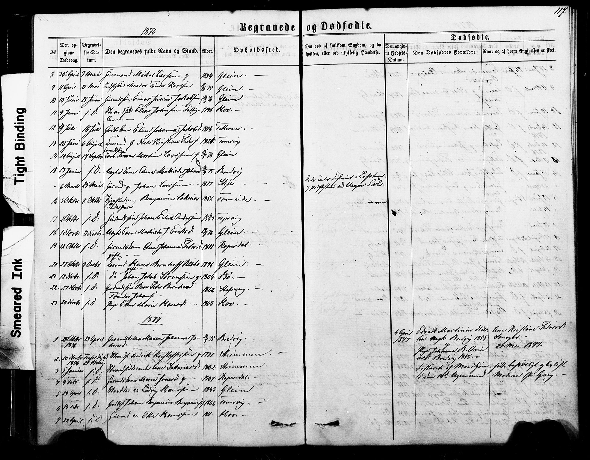 Ministerialprotokoller, klokkerbøker og fødselsregistre - Nordland, AV/SAT-A-1459/835/L0524: Parish register (official) no. 835A02, 1865-1880, p. 117