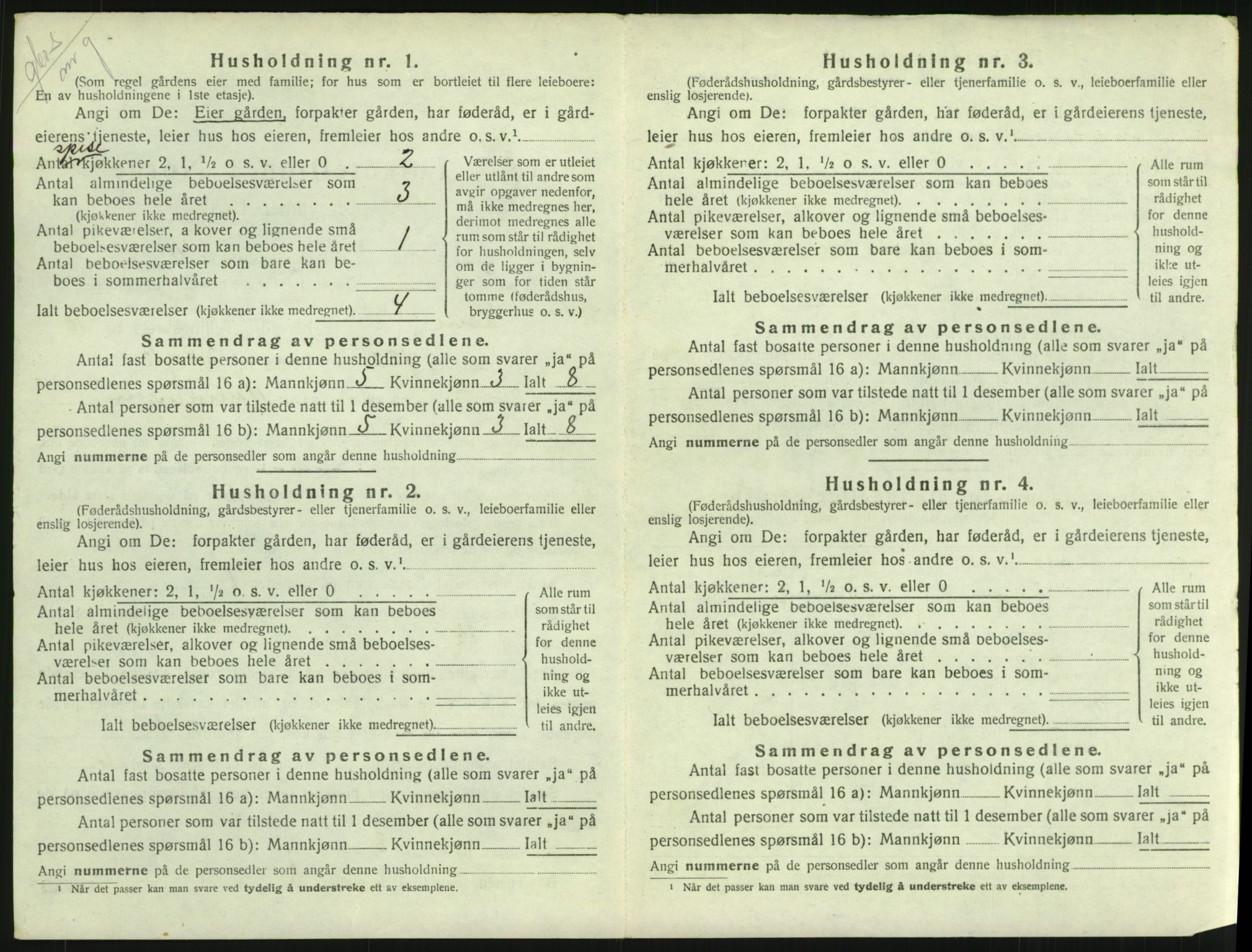 SAH, 1920 census for Lom, 1920, p. 925