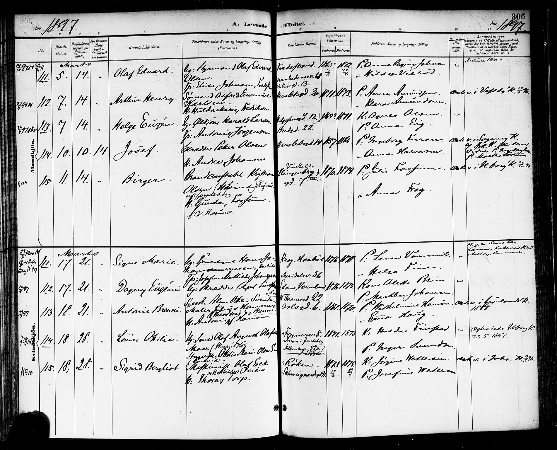 Rikshospitalet prestekontor Kirkebøker, AV/SAO-A-10309b/F/L0009: Parish register (official) no. 9, 1894-1897, p. 306