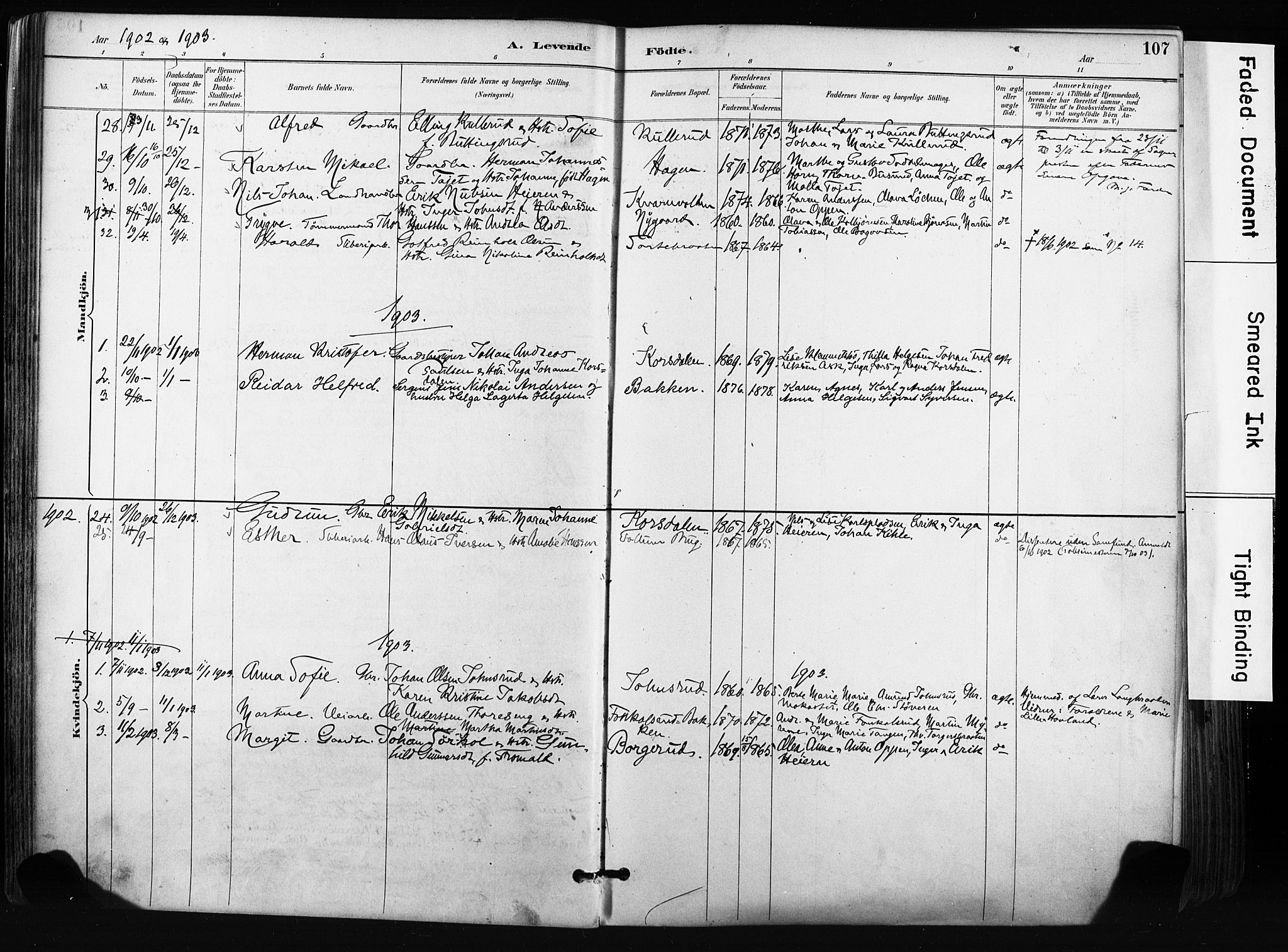 Norderhov kirkebøker, AV/SAKO-A-237/F/Fa/L0016: Parish register (official) no. 16, 1885-1902, p. 107