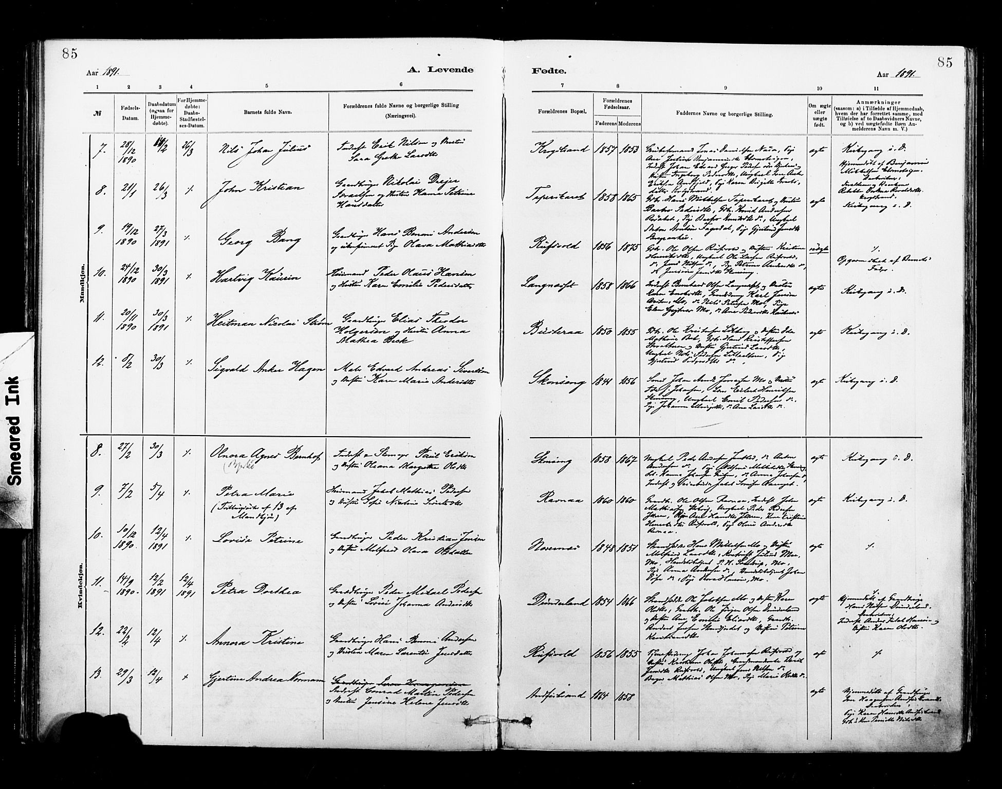 Ministerialprotokoller, klokkerbøker og fødselsregistre - Nordland, AV/SAT-A-1459/827/L0400: Parish register (official) no. 827A12, 1883-1903, p. 85