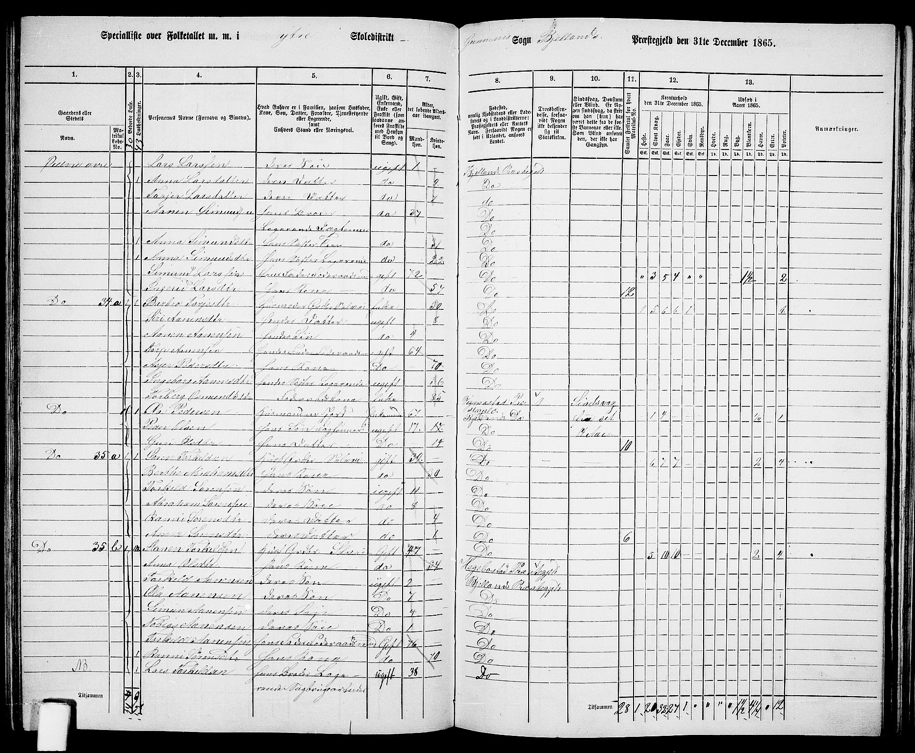 RA, 1865 census for Bjelland, 1865, p. 54