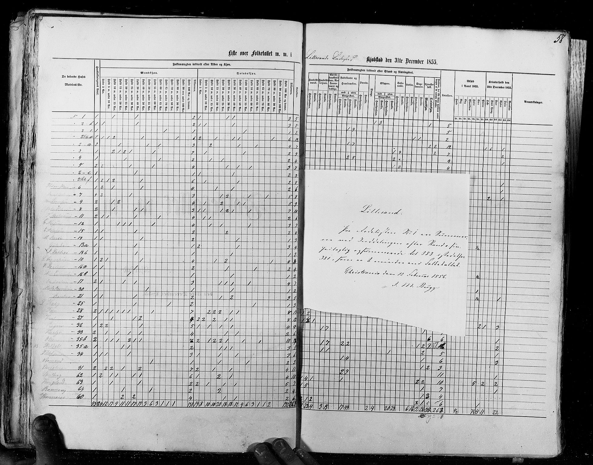 RA, Census 1855, vol. 8: Risør-Vadsø, 1855, p. 58