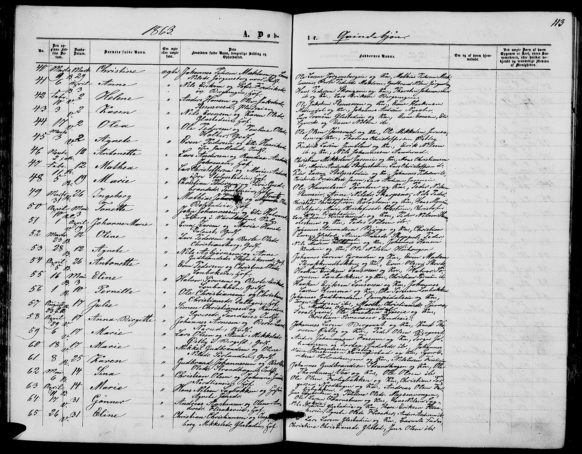 Ringsaker prestekontor, AV/SAH-PREST-014/L/La/L0007: Parish register (copy) no. 7, 1861-1869, p. 113